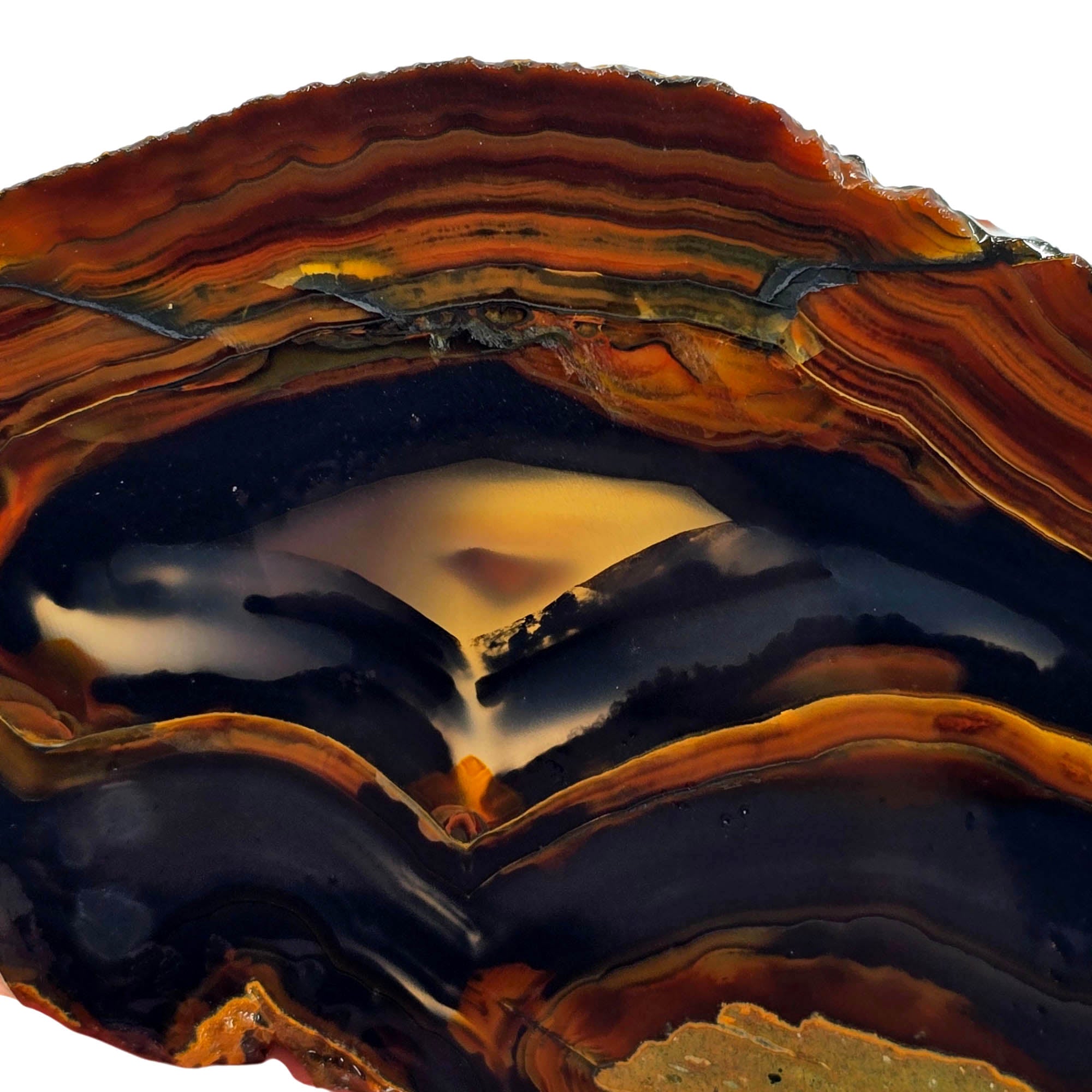 Dark Gothic Piranha Agate Slab – Brazilian Mirror Polish! #3870-Photo1