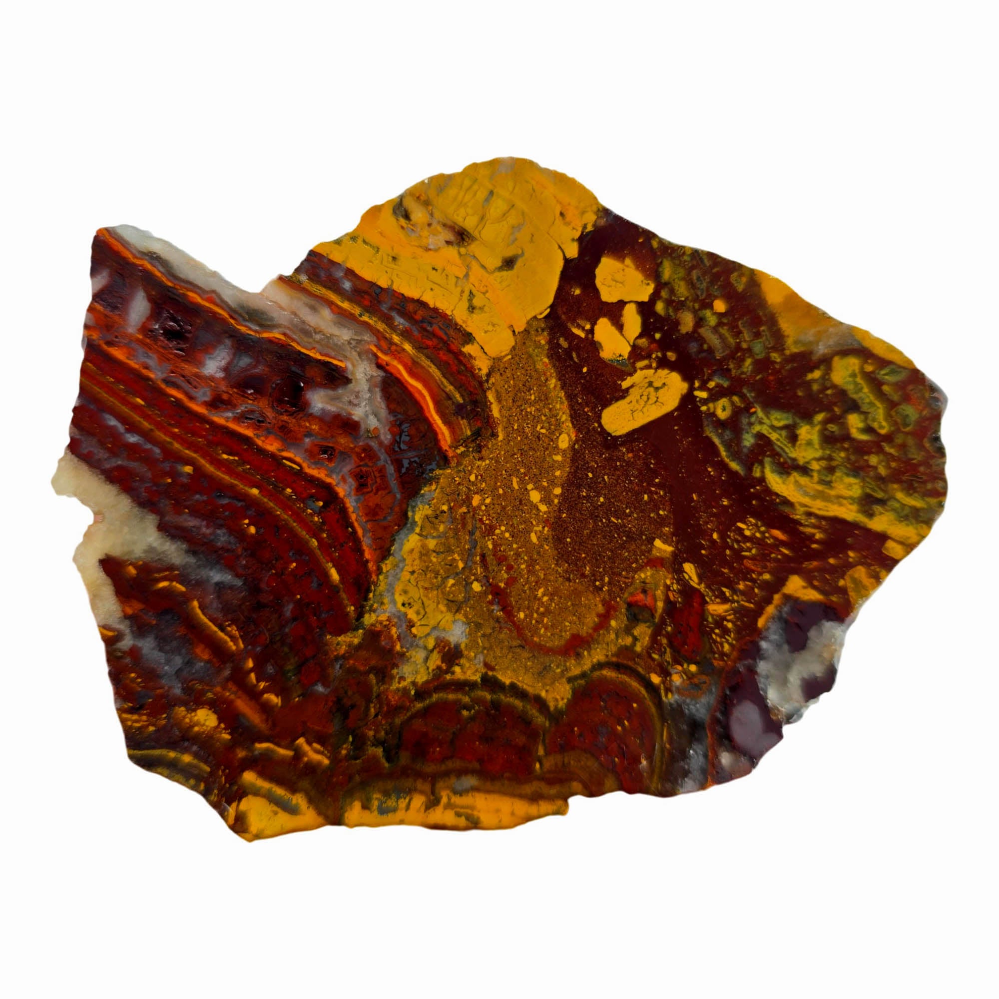 Apple Valley Jasper Slab – Bright Reds Flowing Rivers Stromatolite! #3871-Photo1