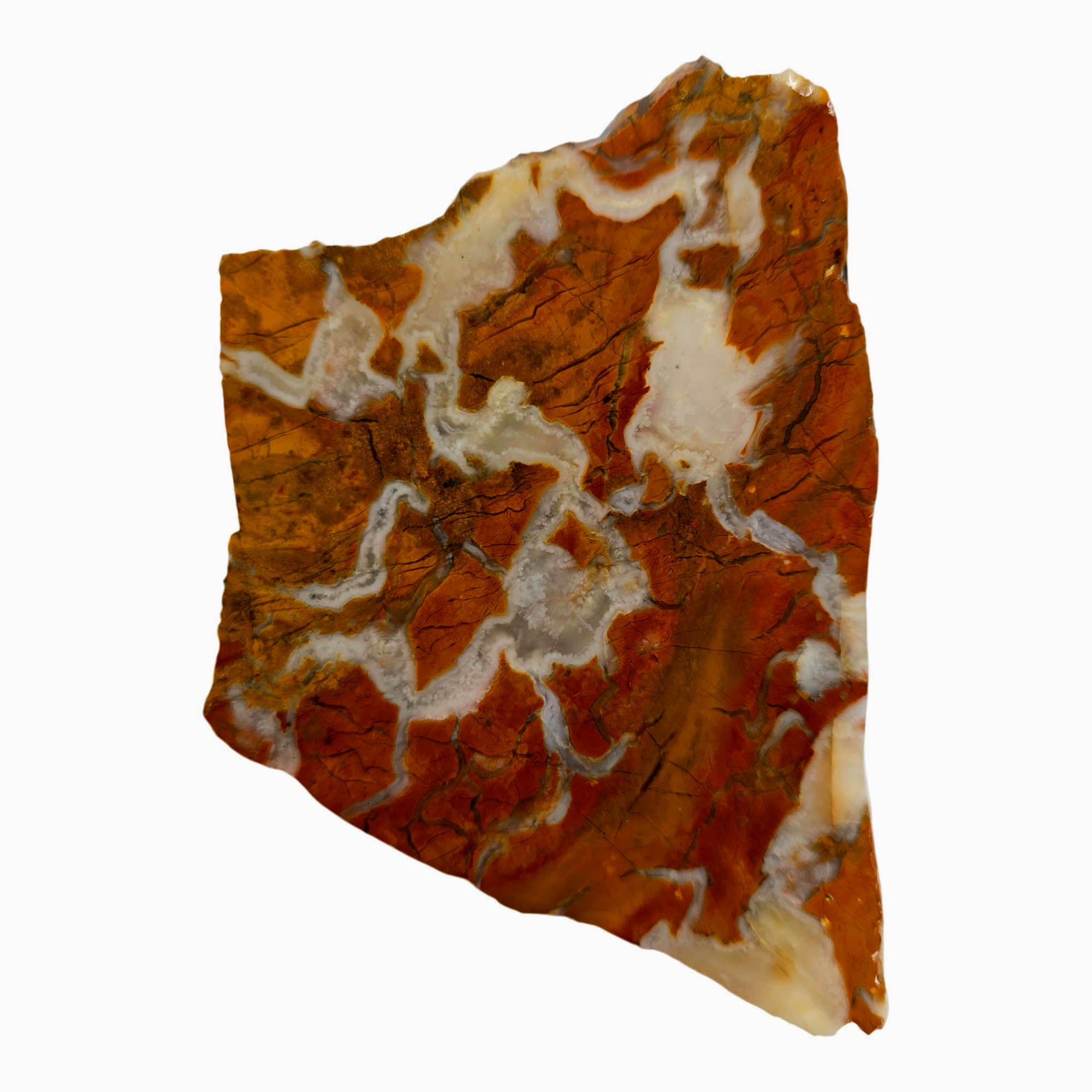 Stone Canyon Jasper Slab - Sunset Orange Red Brecciated Agate #3877-1
