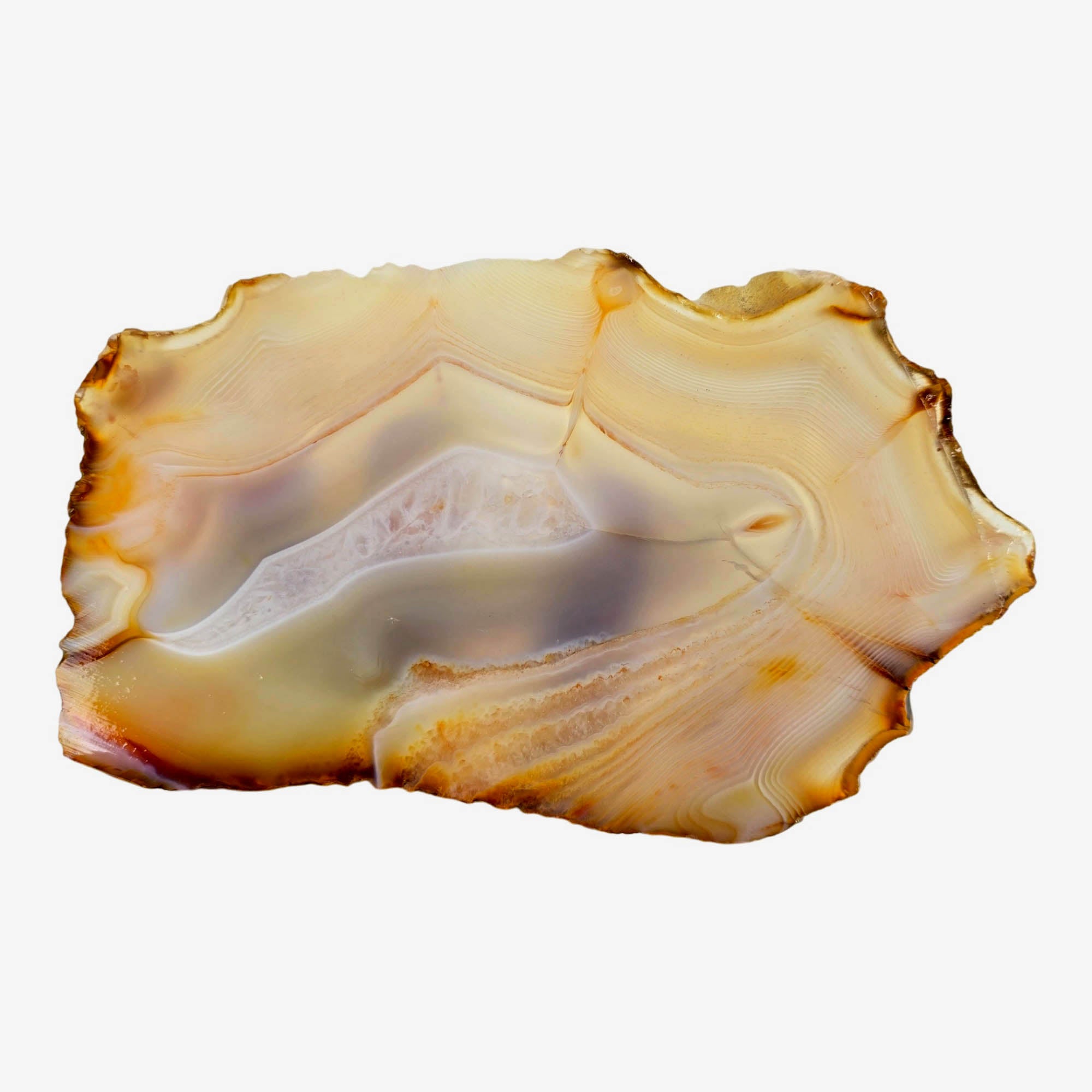 Brazilian Agate Slab - Creamy White Fortification Banding - Brazil
