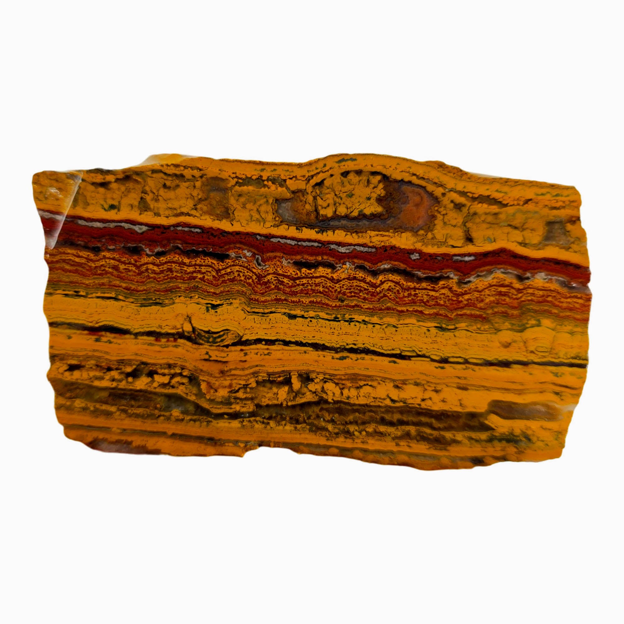 Apple Valley Jasper Slab - Wavy Stromatolites with Hematite - Sahara Morocco
