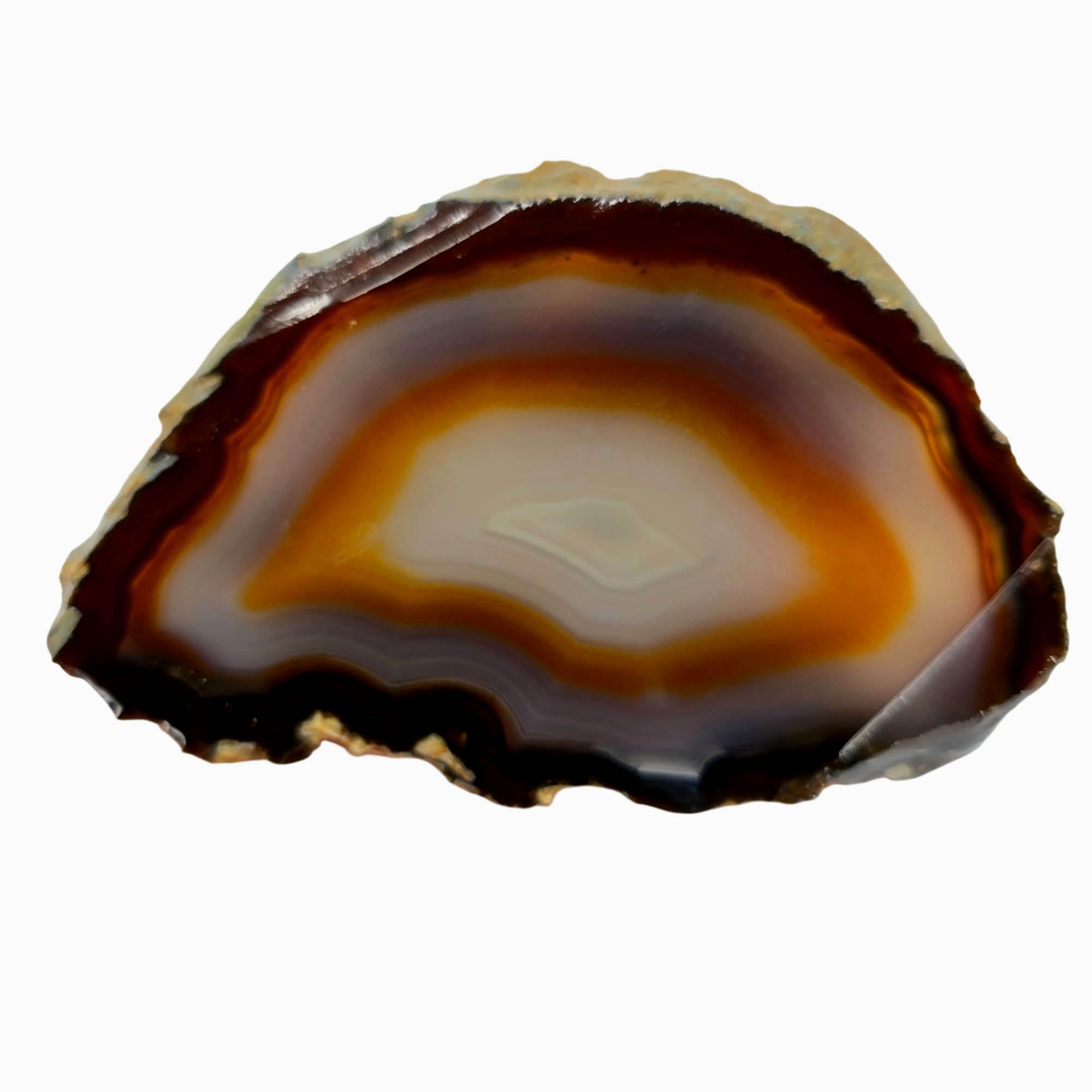 Brazilian Agate Slab – Classic Fortification Pattern Display Quality #3886-1