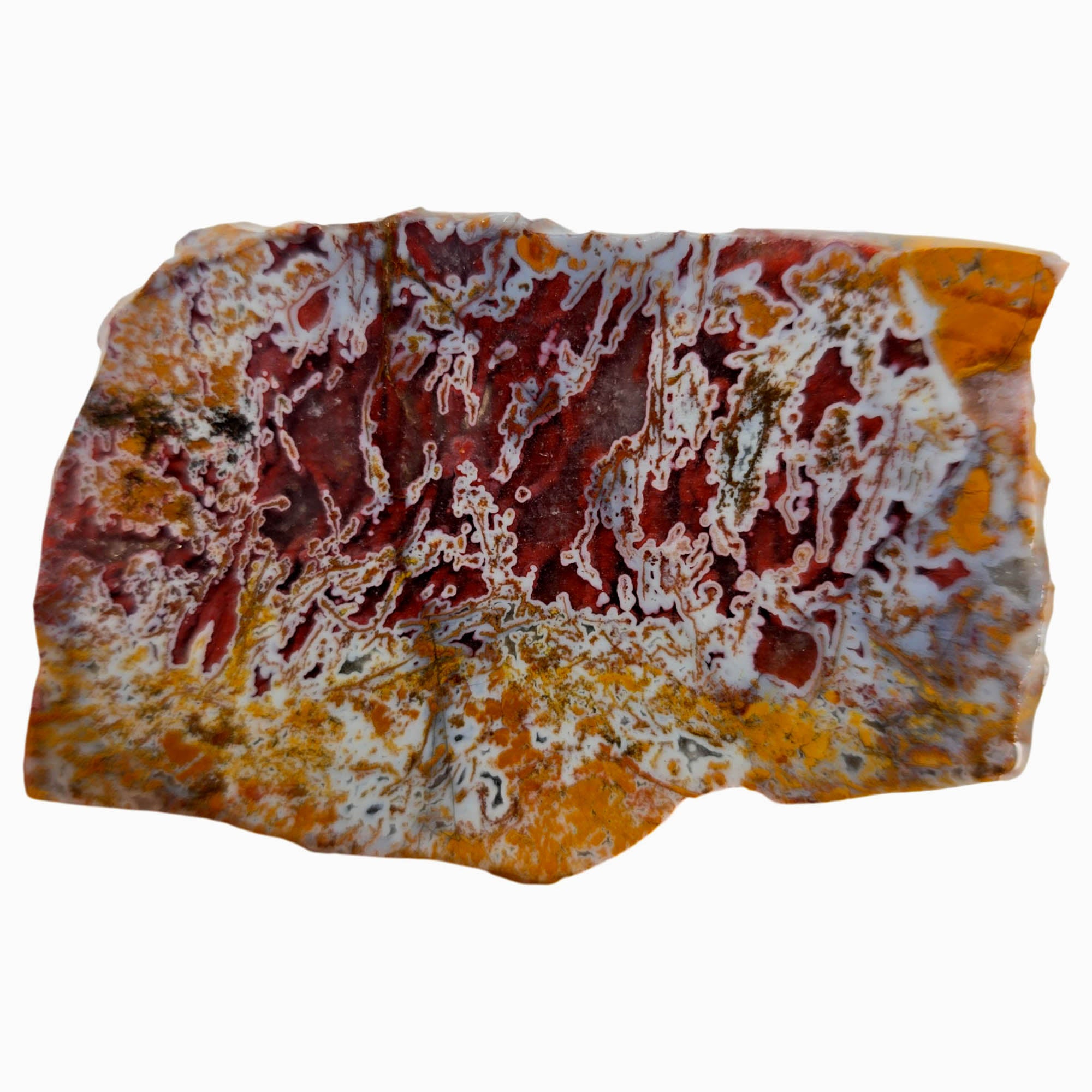 Apple Valley Agate Slab - Rare Blood Red Pseudomorphic Tubes Morocco #3891-Photo2