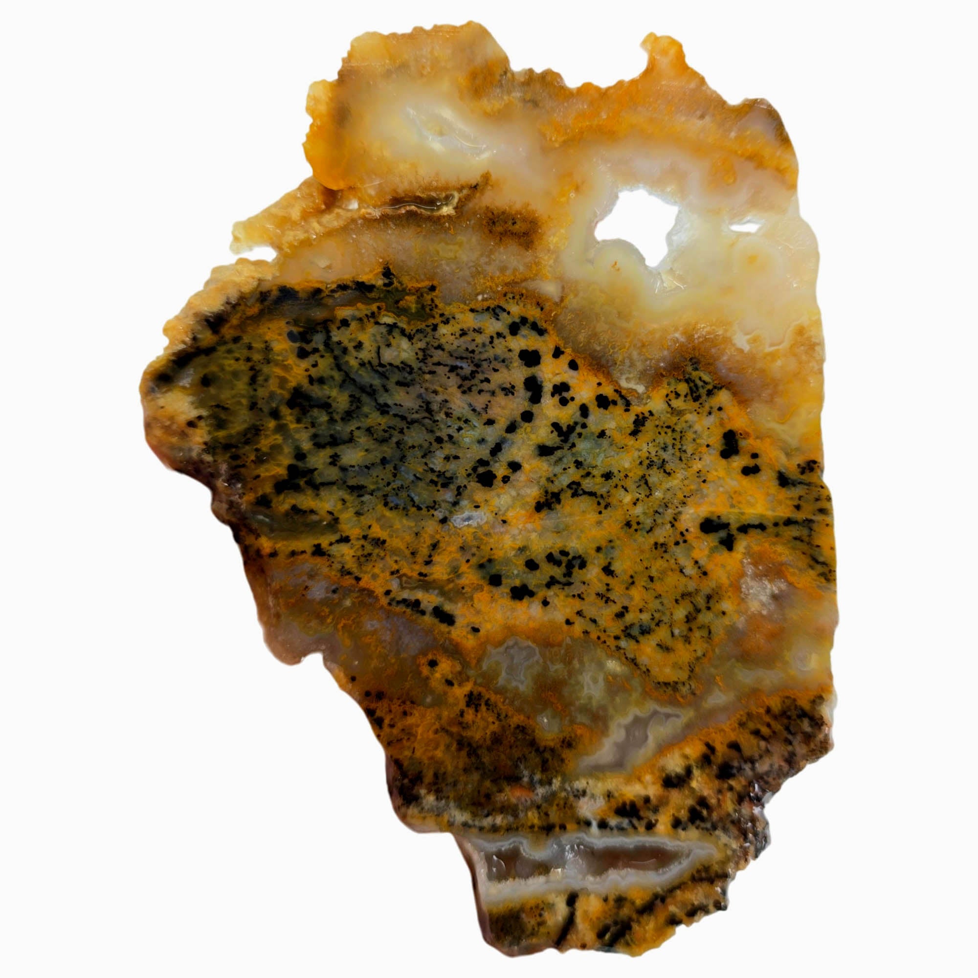 Cheetah Stone Slab – Classic Spotted Pattern Blue Druzy Pocket Brazil #3895-2