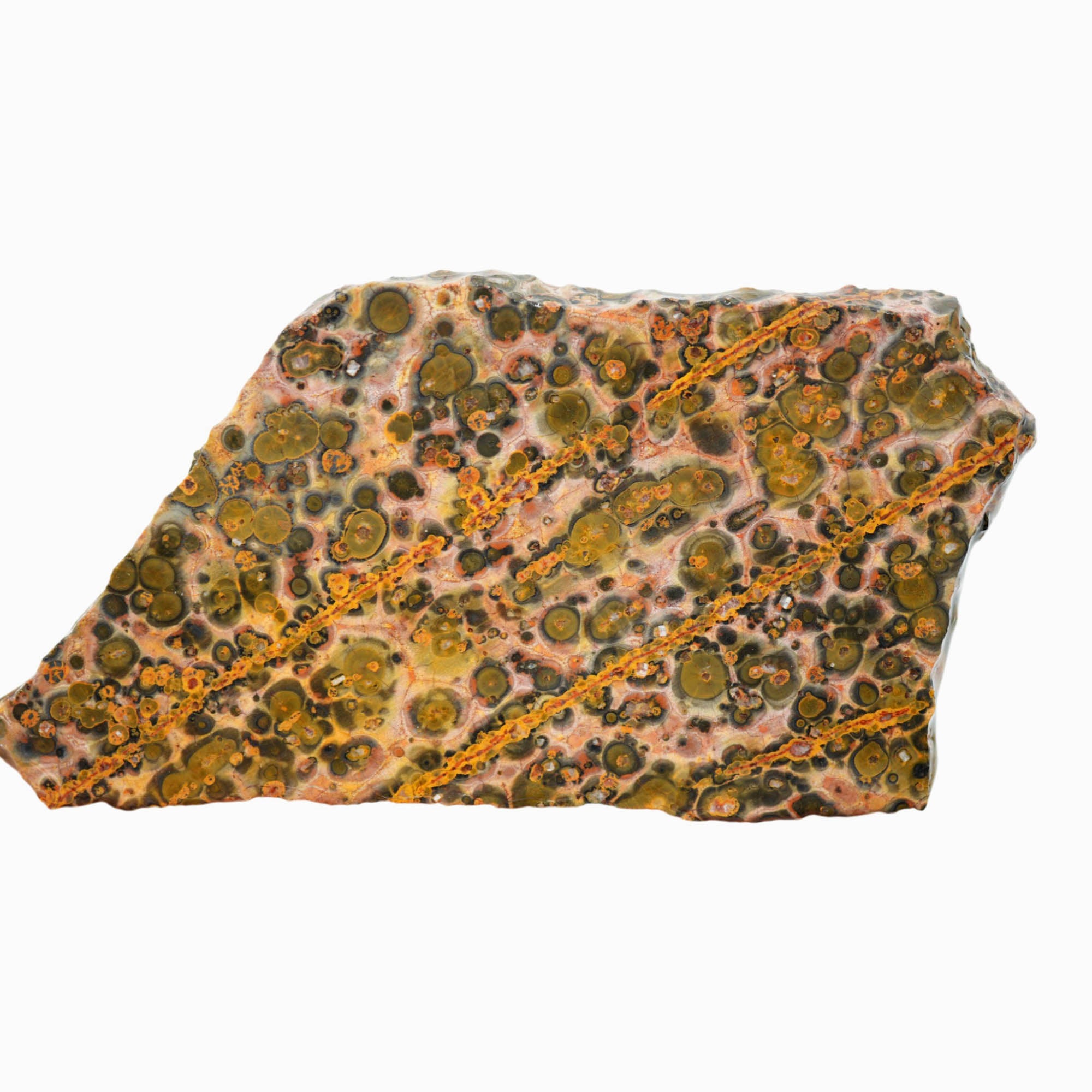 Leopard Skin Rhyolite Slab – Spotted Pattern Old Stock Mexican #3911-Photo1