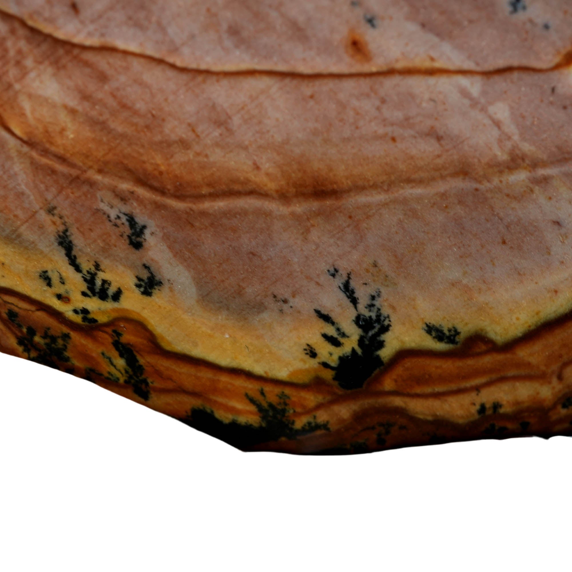 Purple Biggs Picture Jasper Slab – Deep Purple Rolling Hills Dendrites #3912-1