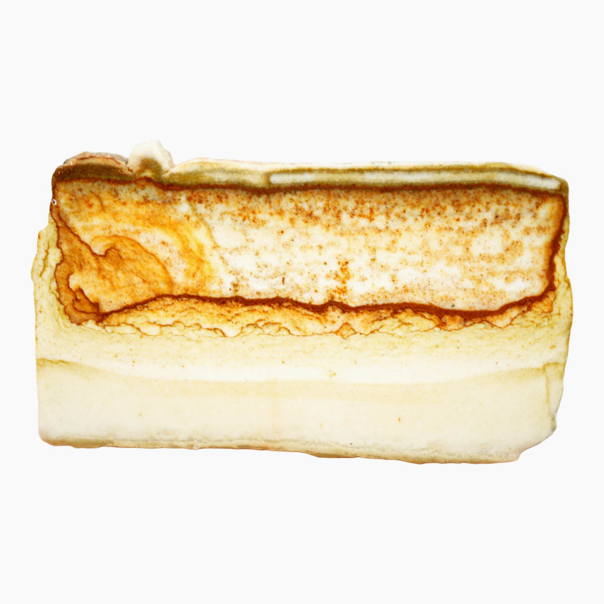 Chicken Track Jasper Slab – Fossil Worm Tunnels Rolling Hills Desert #3914-Photo2