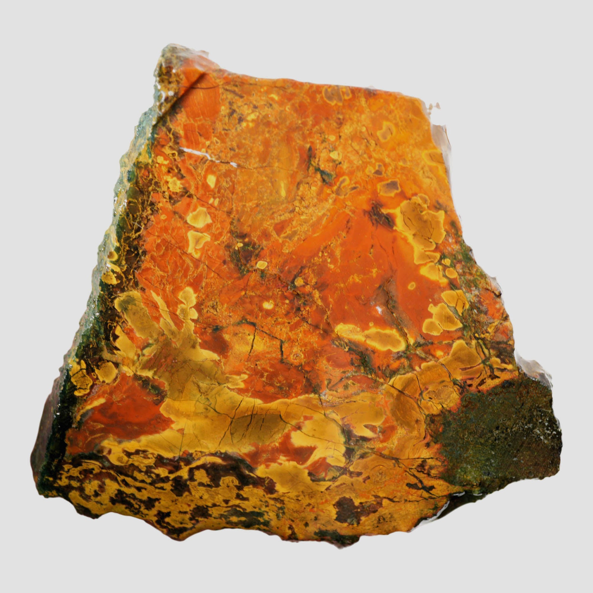 Kaleidoscope Jasper Slab – Floating Orb Deposit Dale Rhode Discovery #3915-Photo1