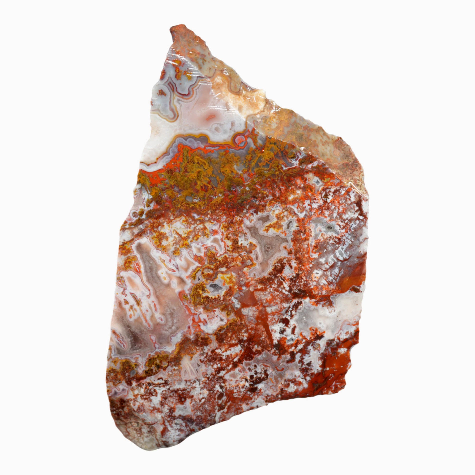 Apple Valley Agate Slab – Multicolor Fortification Tubes Moss #3917-Photo1