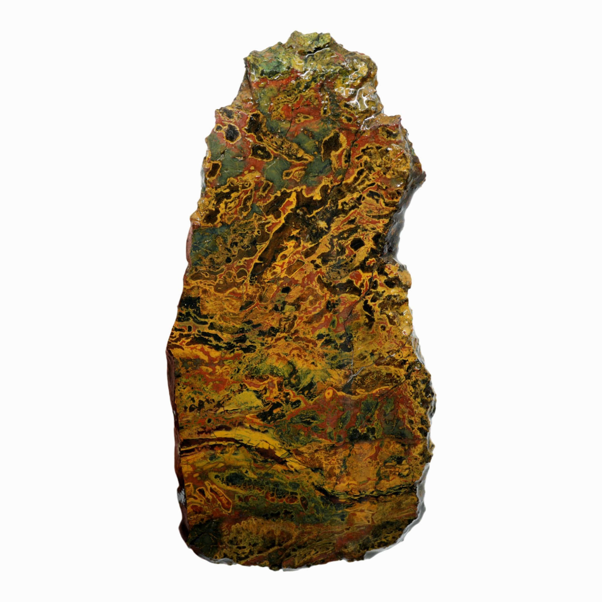 Kaleidoscope Jasper Slab – Floating Orb Pattern Dale Rhode Oregon #3919-Photo2