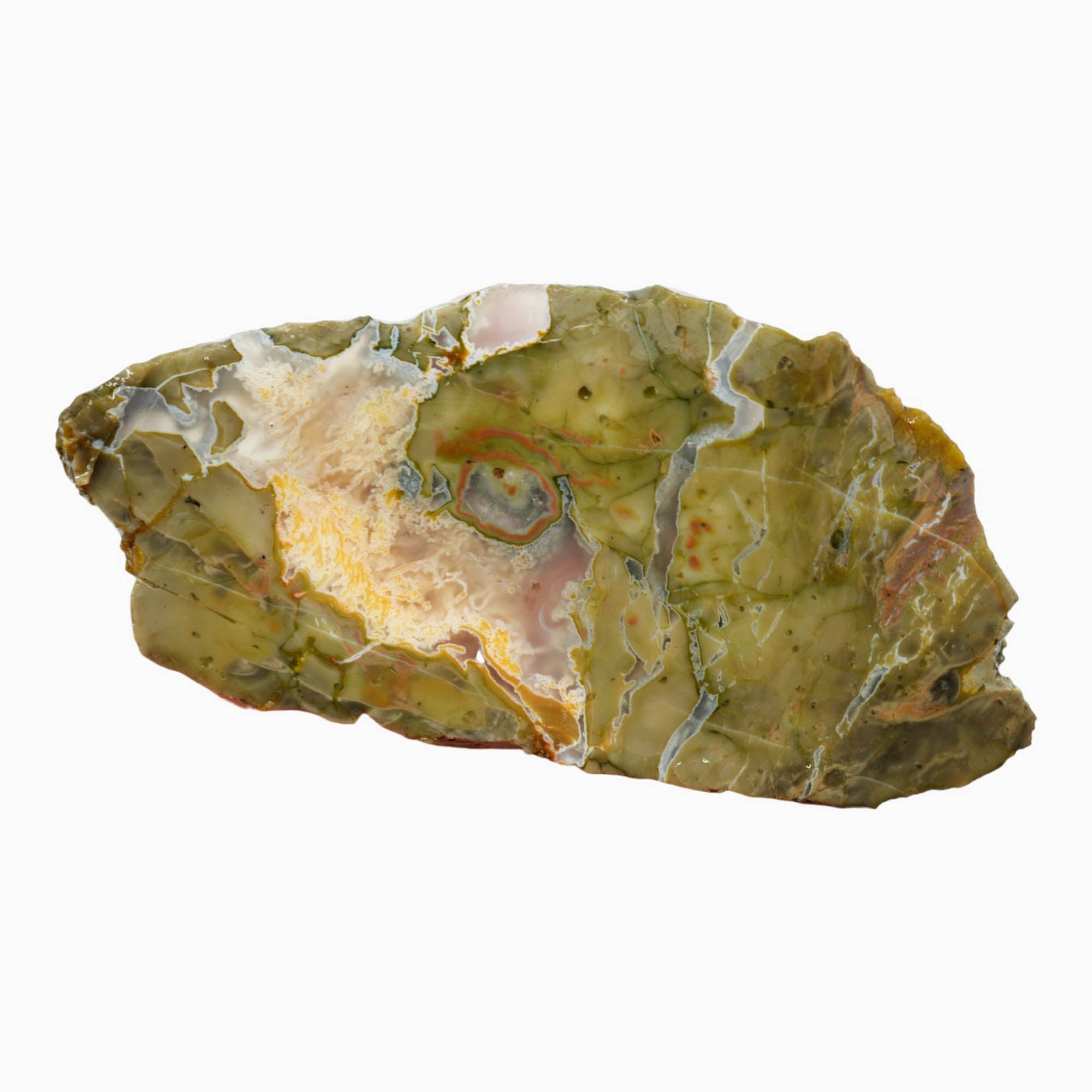 Mystery Thunderegg Slab – Unknown Ochoco Mountains Old Stock! #3924-Photo2