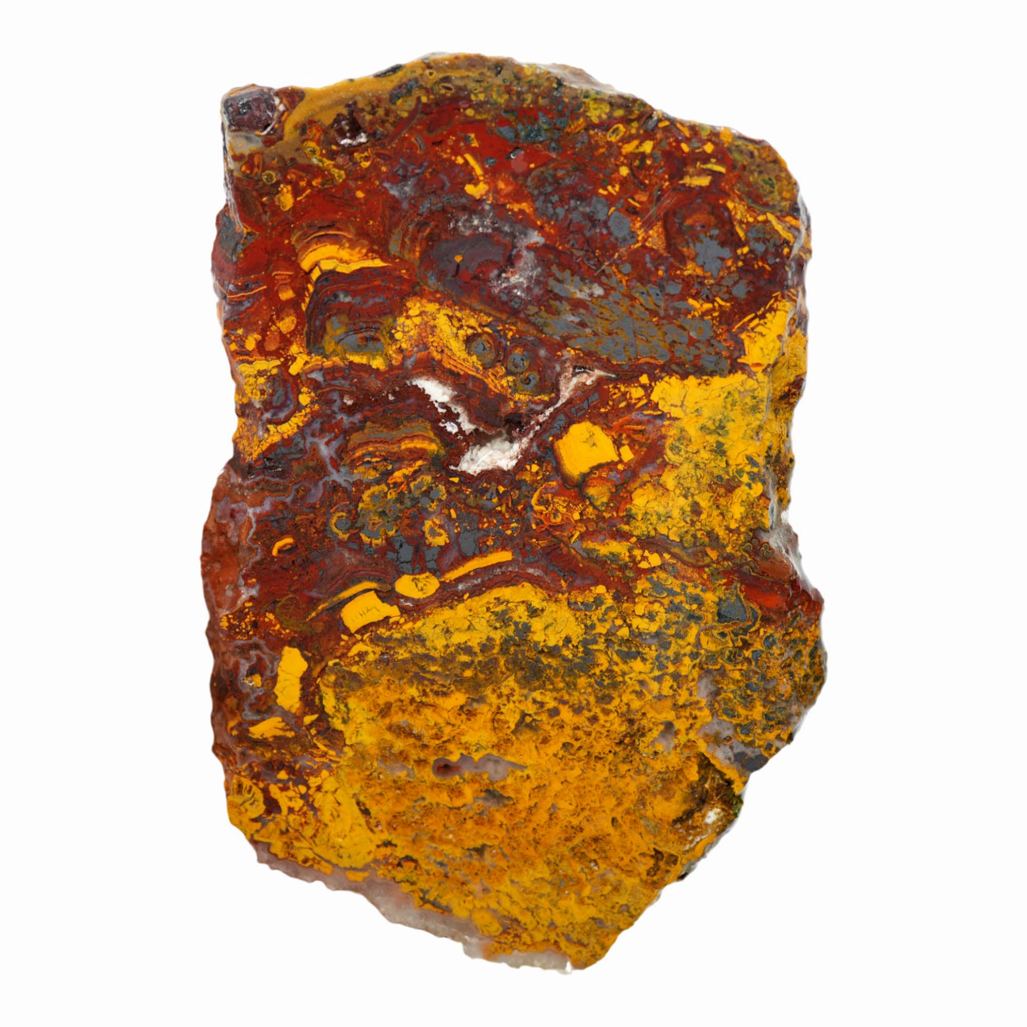 Apple Valley Jasper Slab – Hematite Flowers Broken Pattern Sahara #3925-Photo2