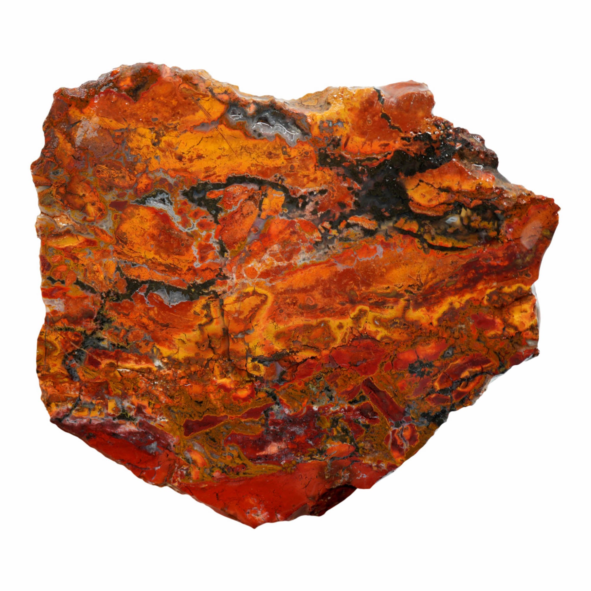 Mystery Jasper Slab - Bright Red Flowing Pattern Nevada #3926-2