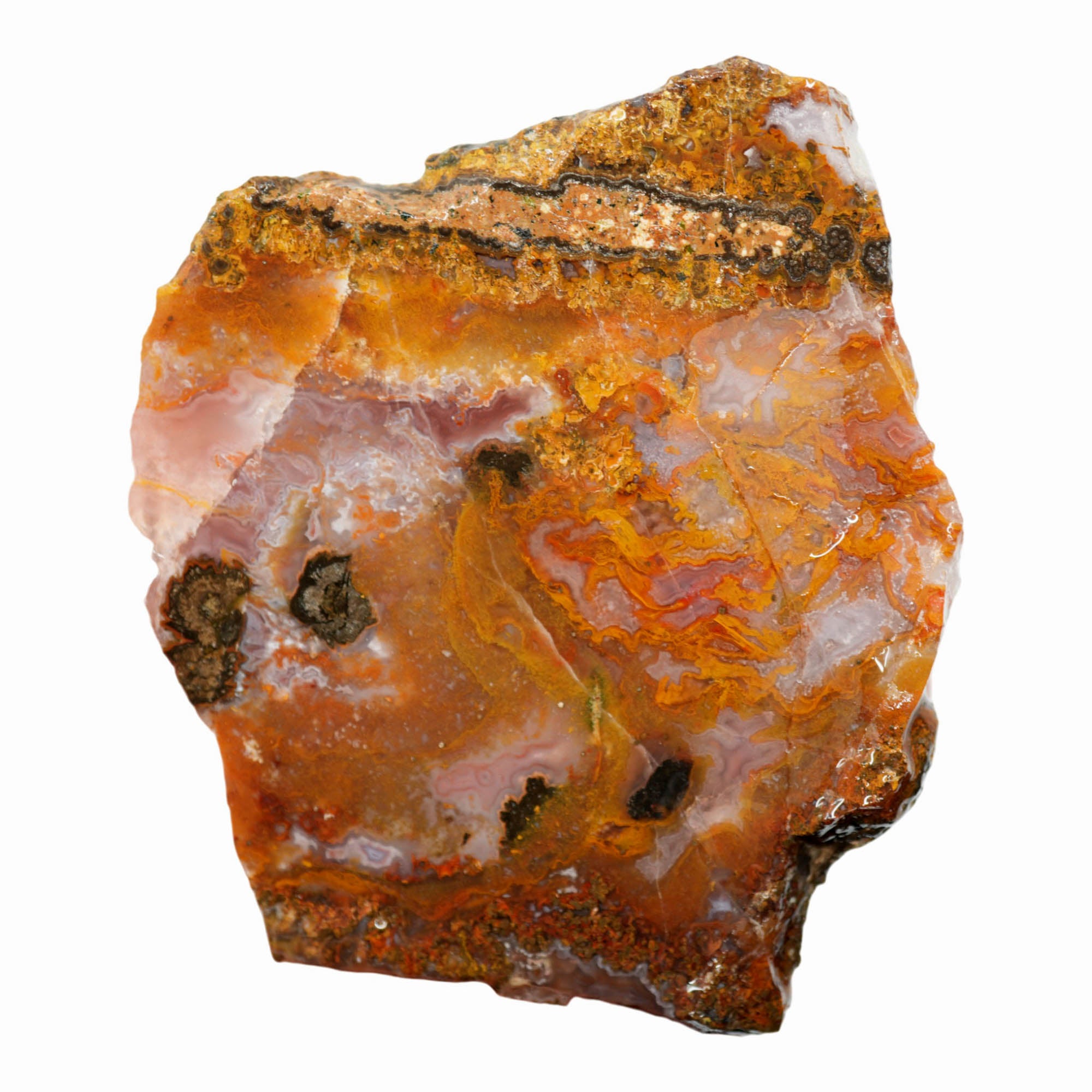 Agua Nueva Agate Slab – Butterscotch Pattern Black Feldspar #3927-Photo1