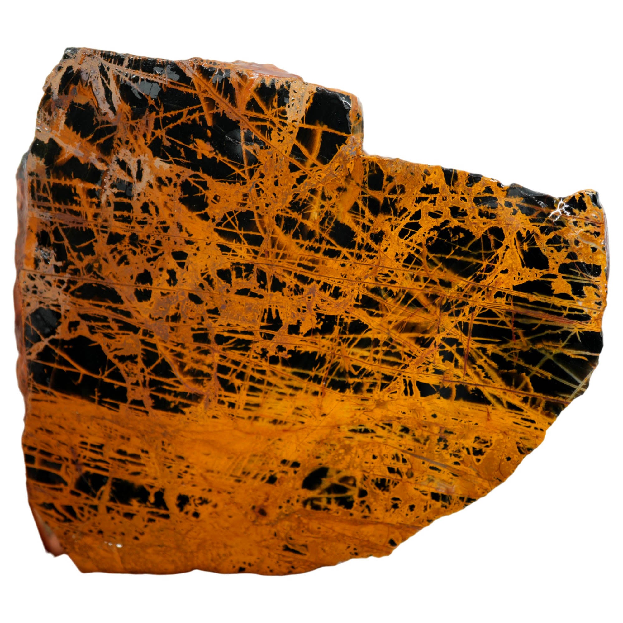 Pilbara Jasper Slab – Black Sunset Gold Spiderweb Brecciation! #3942-Photo2