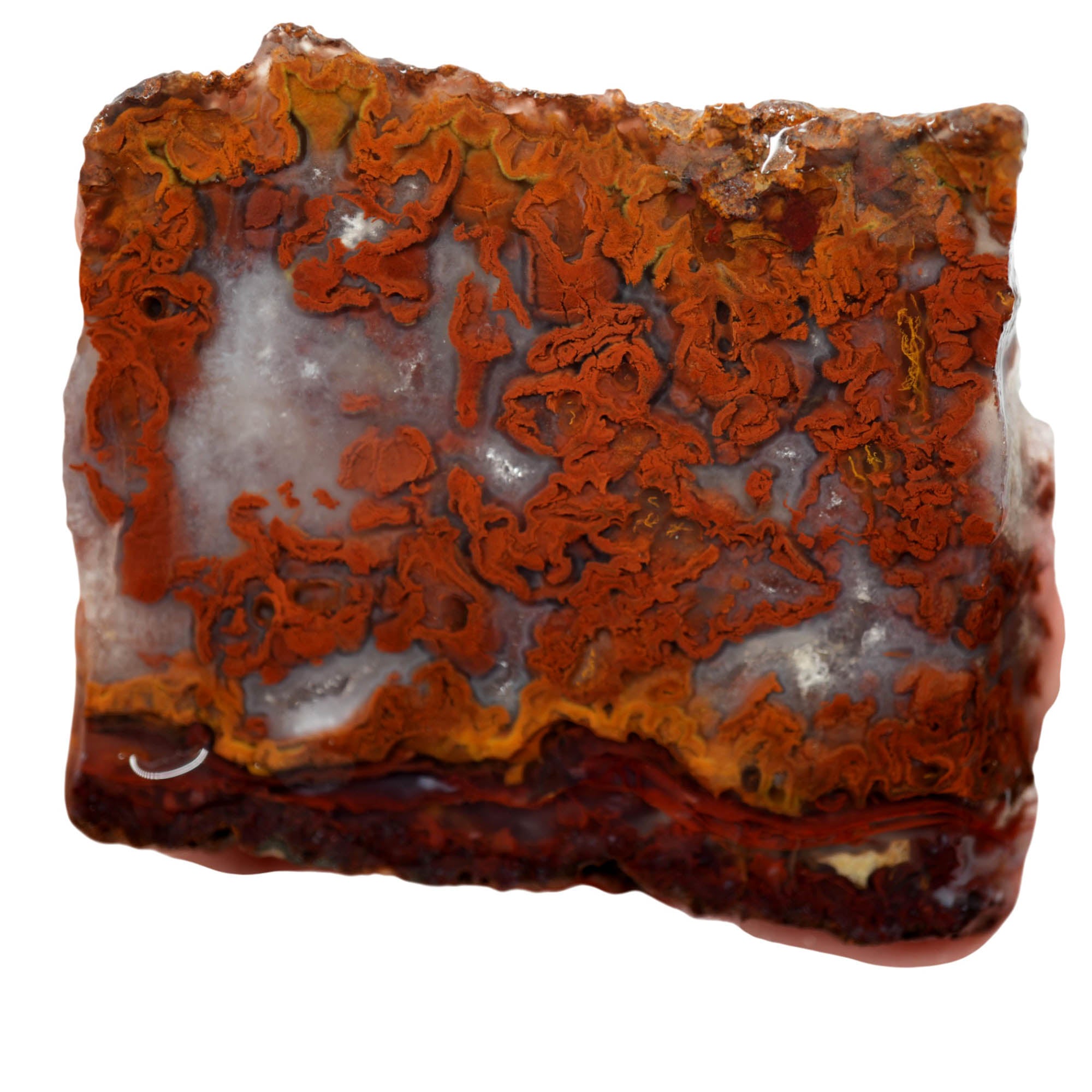 San Carlos Agate Slab - Red Moss with Druzy Designer Grade #3943-Photo1