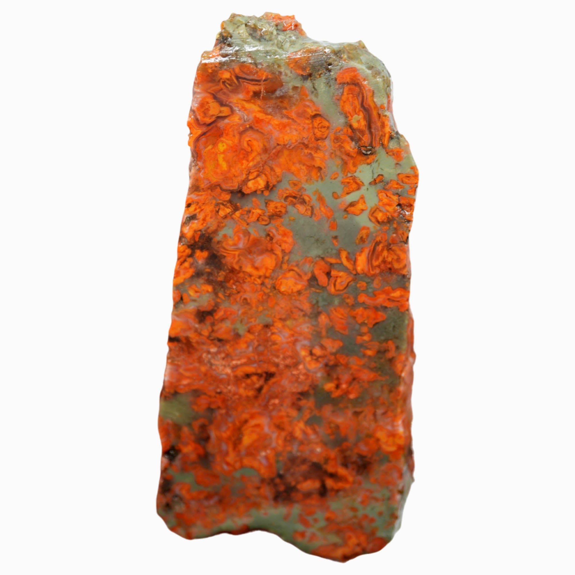 Rosebud Jasper Slab - Bright Red on Green Colorado Rarity! #3950-Photo1