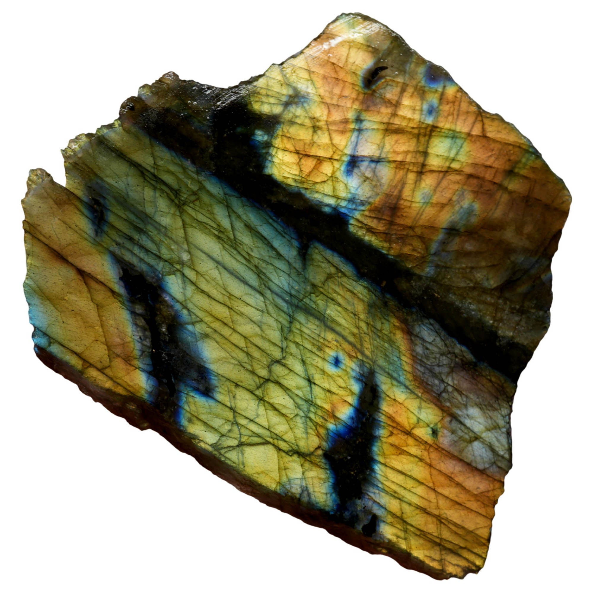 Labradorite Slab – Dual Bright Flash Fused Formation Specimen #3957-Photo1