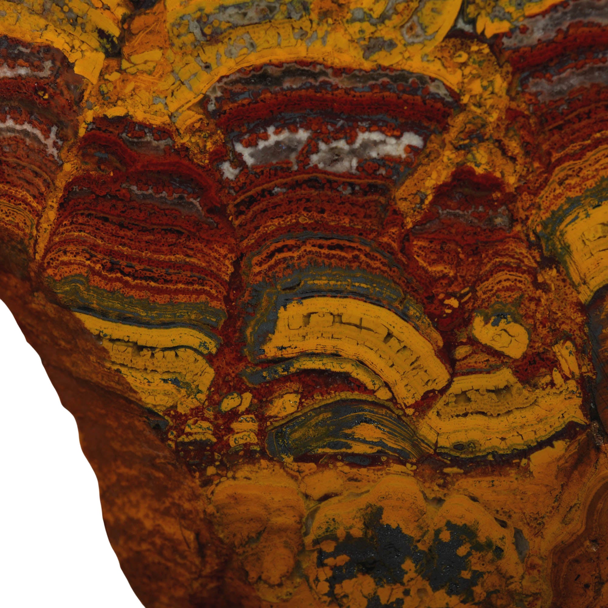 Apple Valley Jasper Slab - Red Flowering Hematite Stromatolites Sahara #3961-Photo1