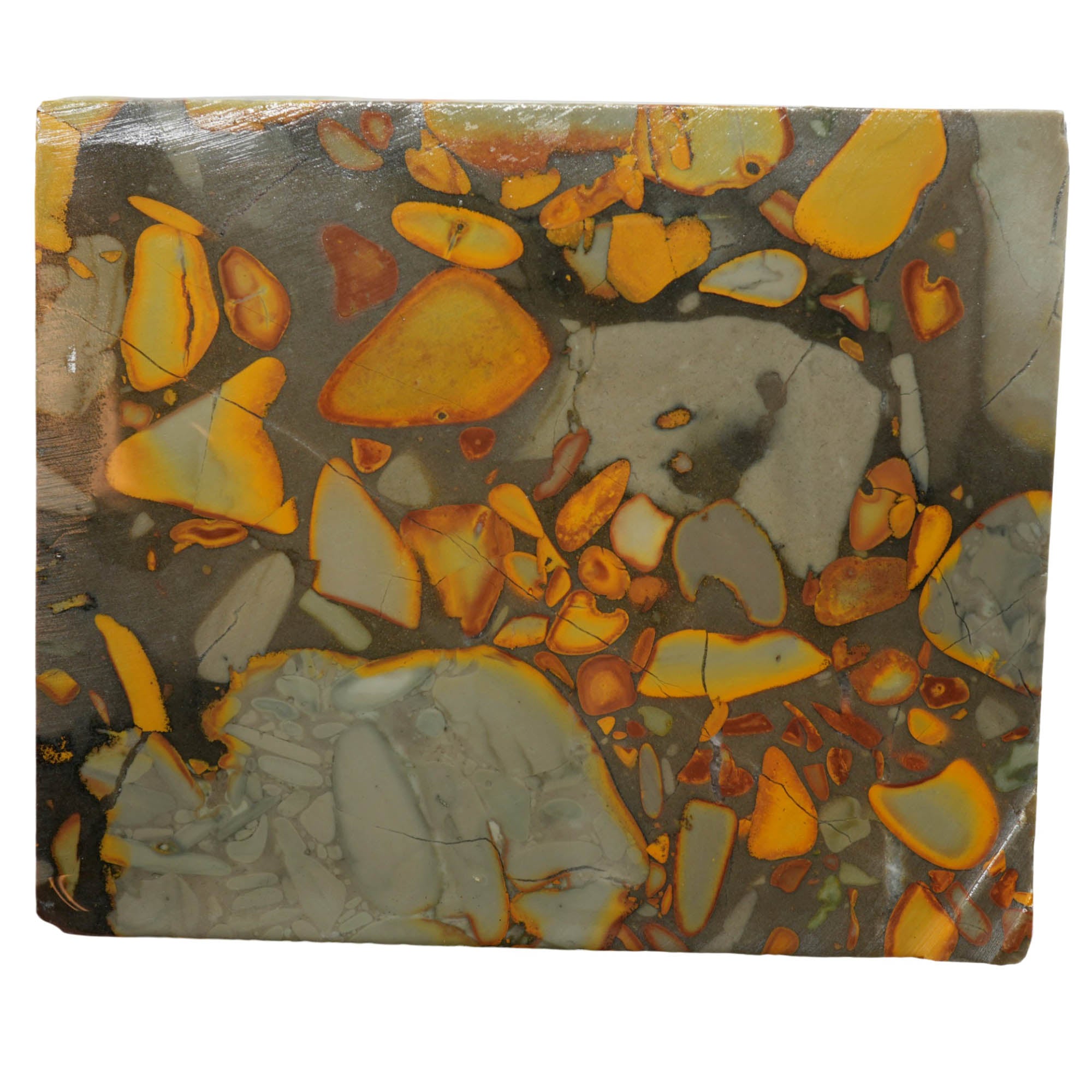 Bamboo Jasper Slab – High-Contrast Conglomerate Orb Pattern Indonesia #3963-Photo1