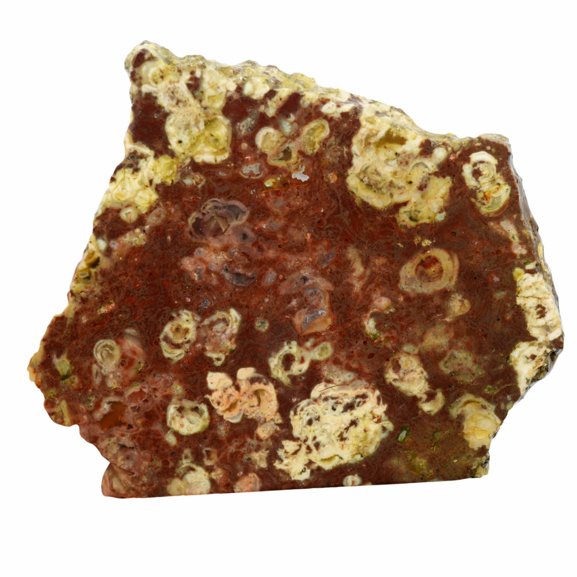 Mystery Rhyolite Slab – Thunderegg Bed Pattern Volcanic! #3968-Photo1