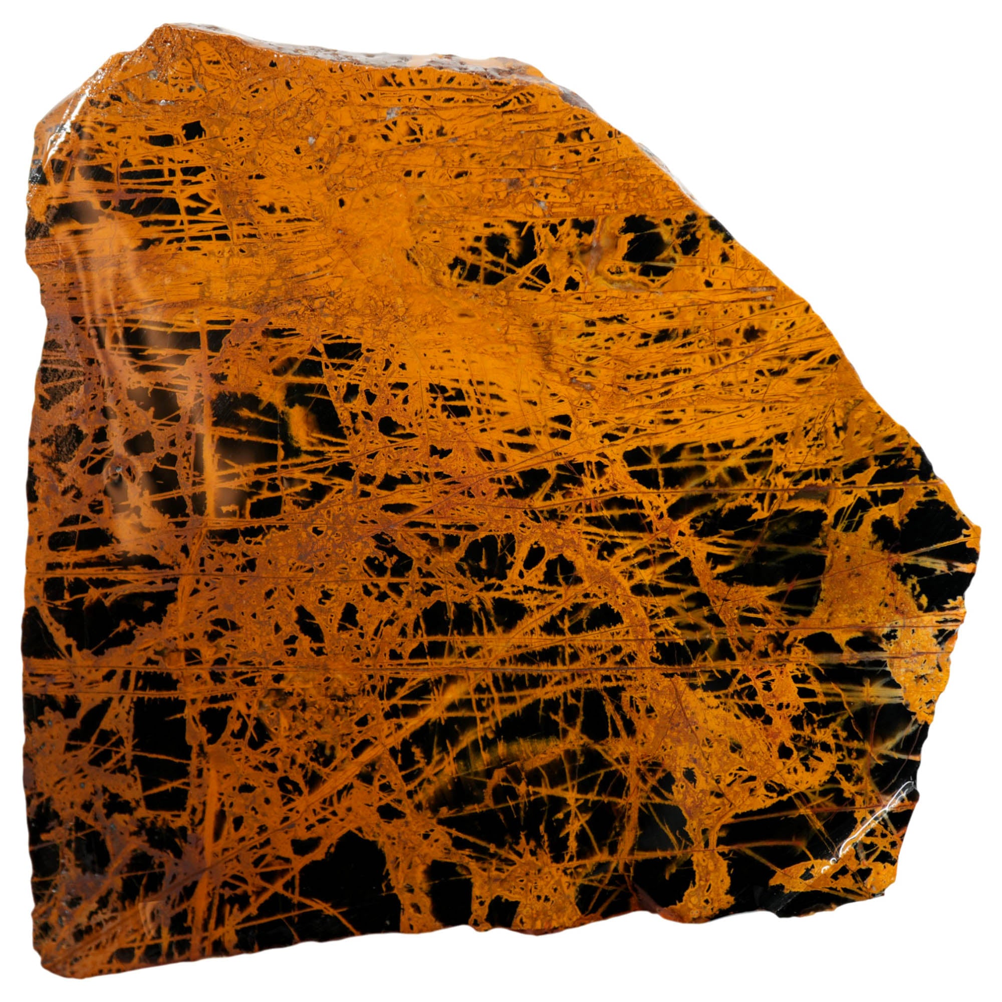 Pilbara Jasper Slab - Black Coffee Cream Pattern Australian #3969-Photo1