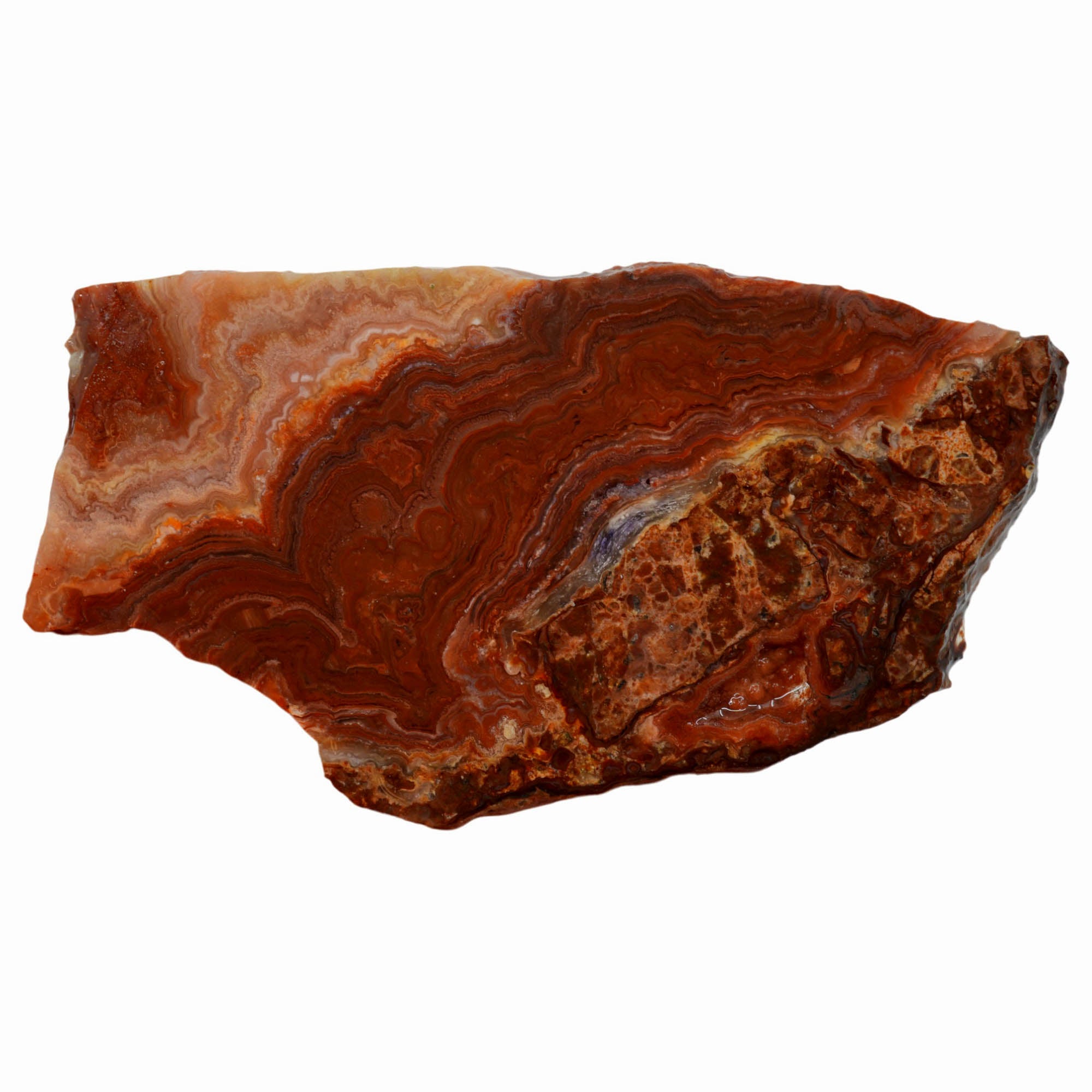 Fire Horizon Agate Slab - Wavy Lace Fiery Orange Mexico #3975-Photo1