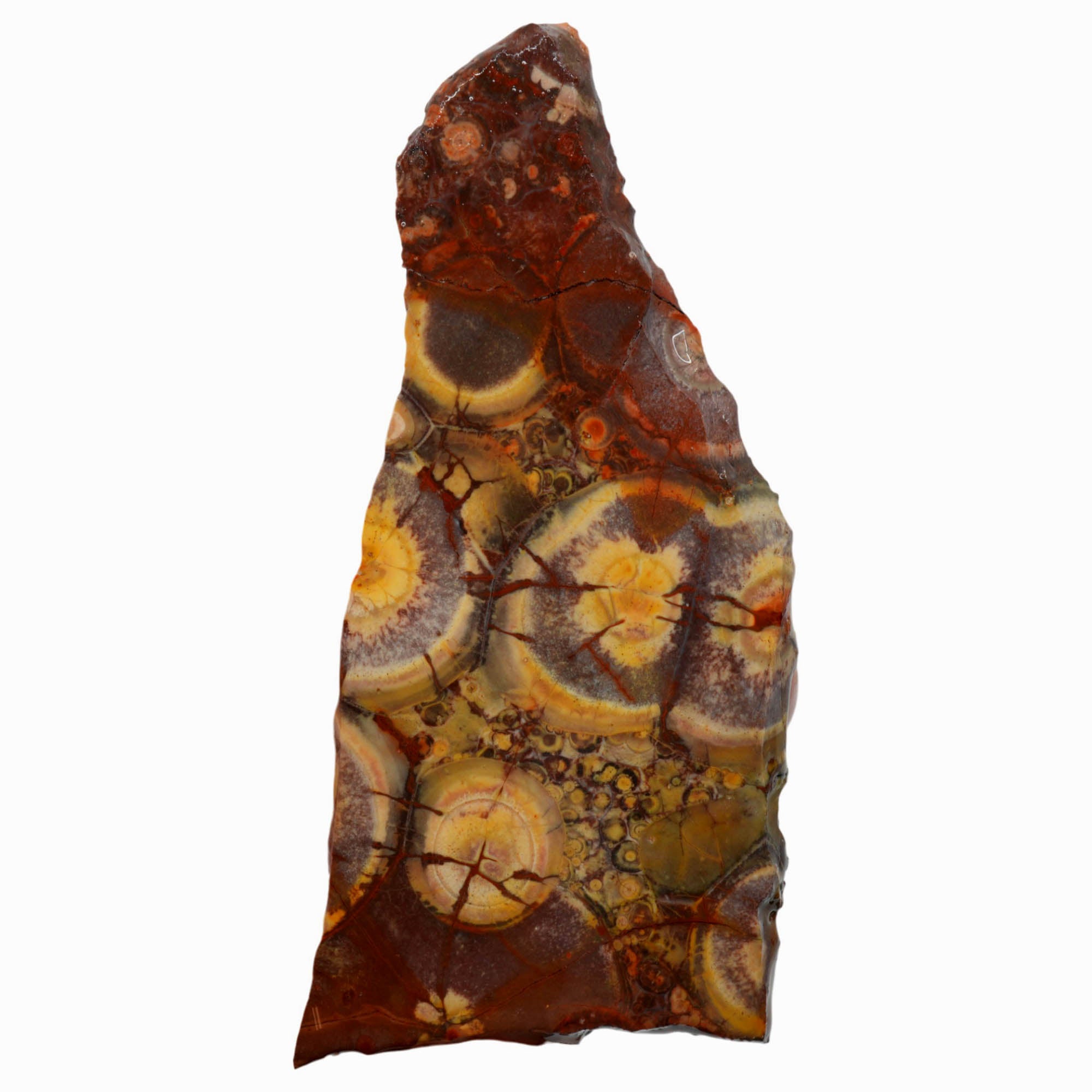 Birdseye Rhyolite Slab – Orbicular Eye Pattern High Silica! #3976-Photo1