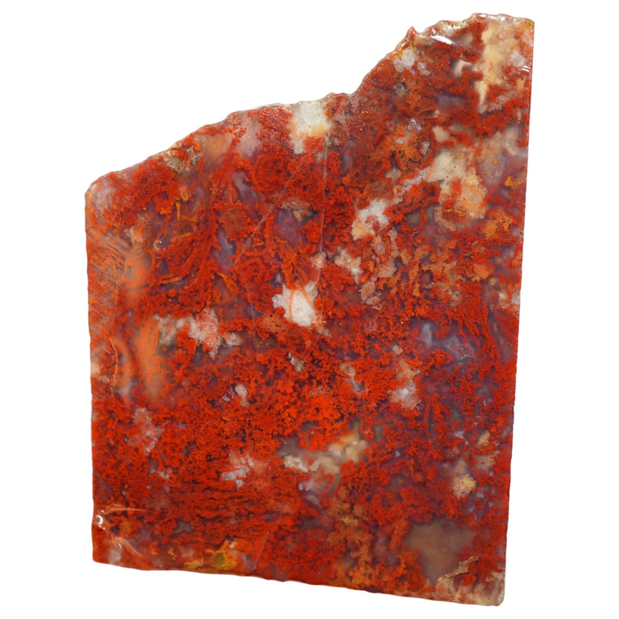 Powell Butte Plume Agate Slab - Red Moss High Contrast! #3978-Photo1