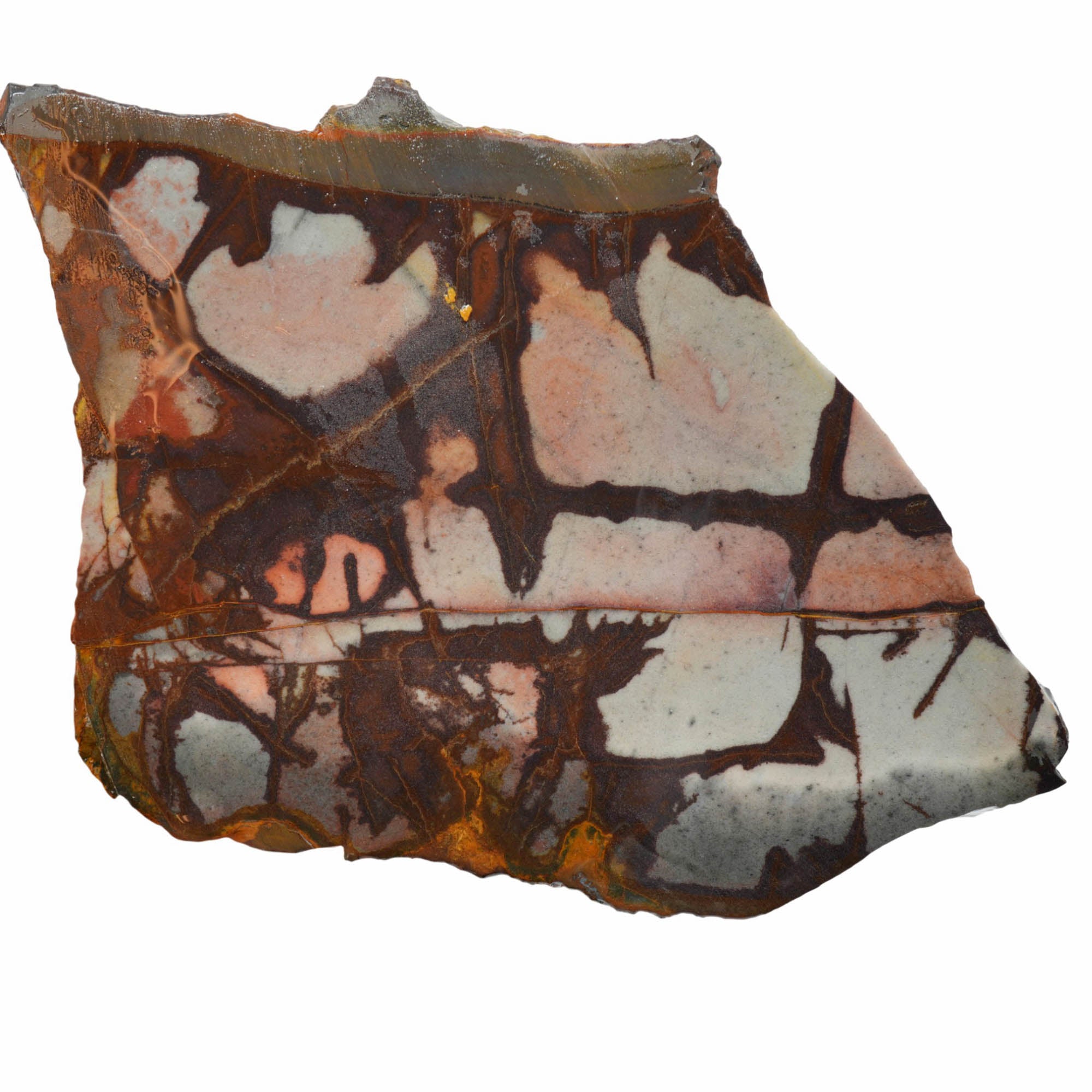 Outback Jasper Slab – Eerie Blue Sunset Colors Rare Australian! #3979-Photo1