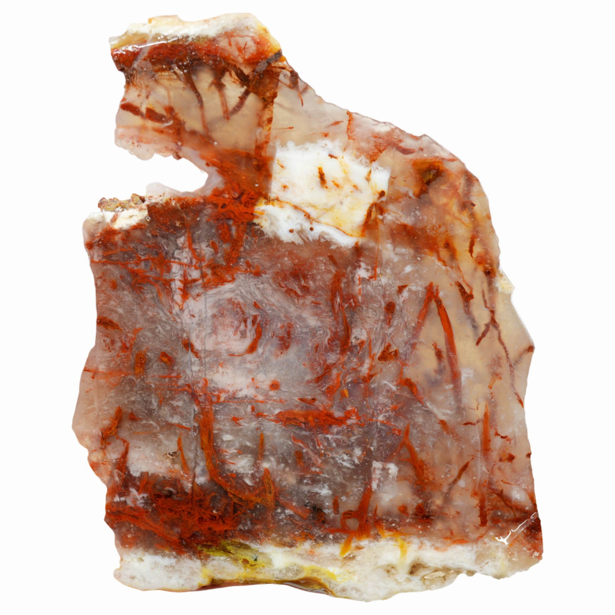 Kramer Hills Agate Slab - Fiery Red Bog Pattern White Feathers Druzy #3980-Photo1