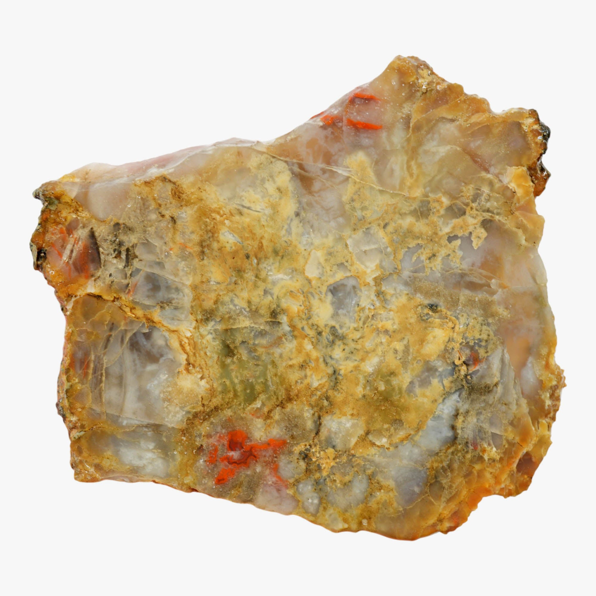 Coprolite Slab - Wispy Cream Agate Pattern Morrison Formation Utah #3983-Photo1