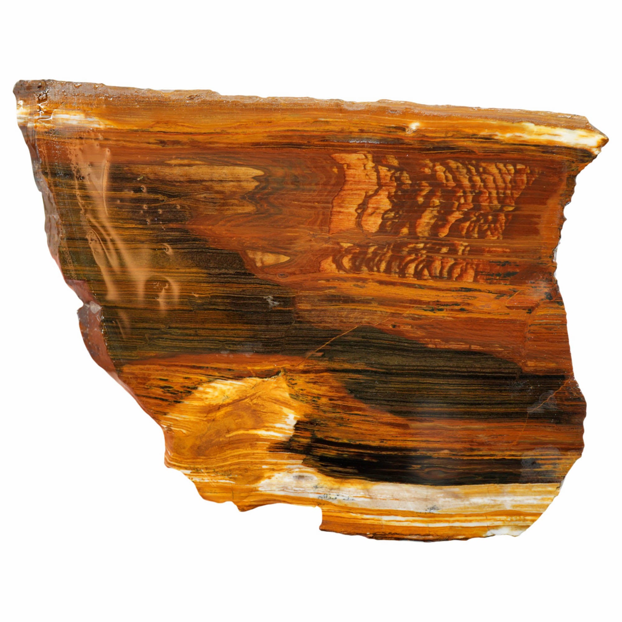 Biggs Picture Jasper Slab - Rolling Hills Coffee Strata Oregon #3984-Photo1