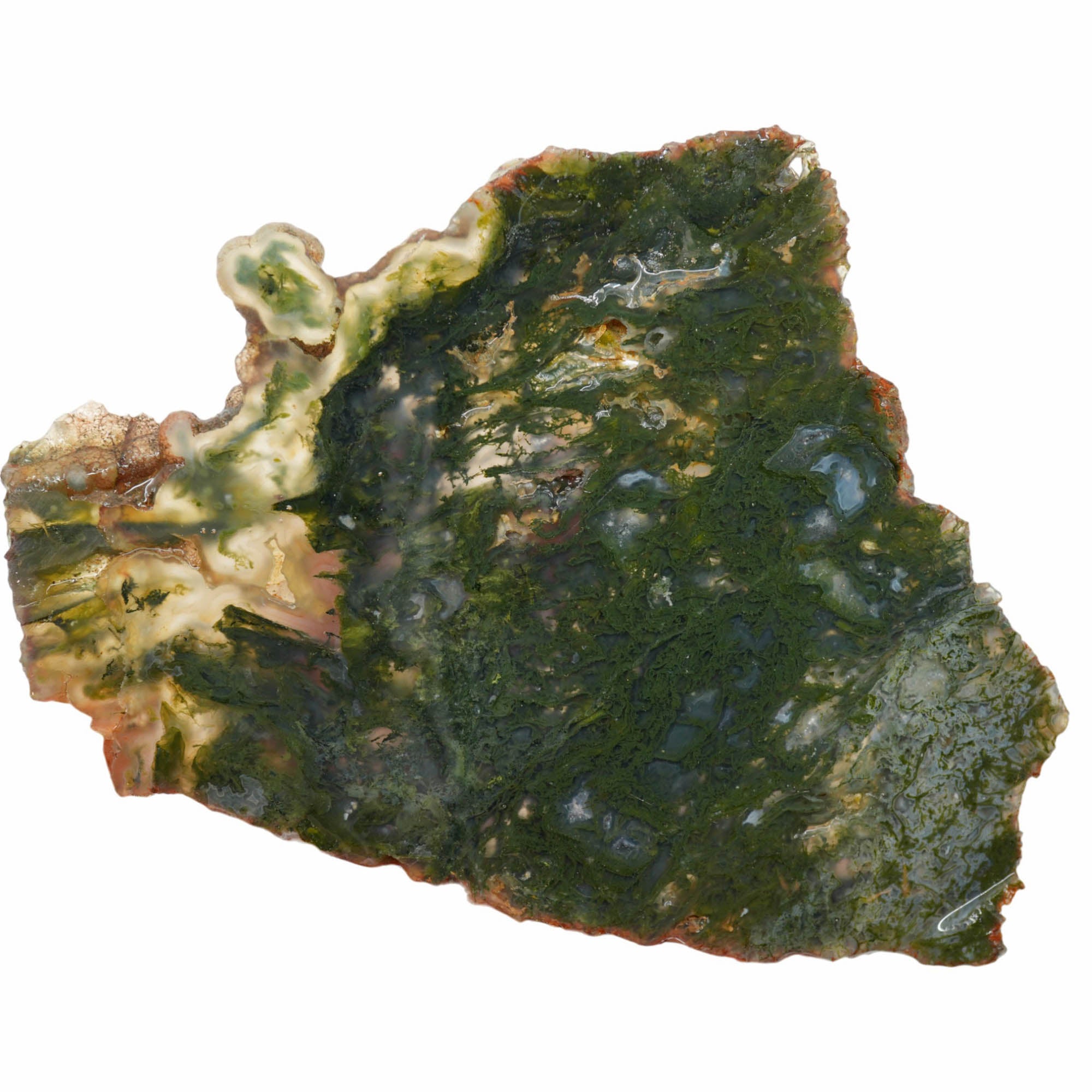 Maury Mountain Moss Agate Slab - Vivid Green Moss Translucent! #3985-Photo1