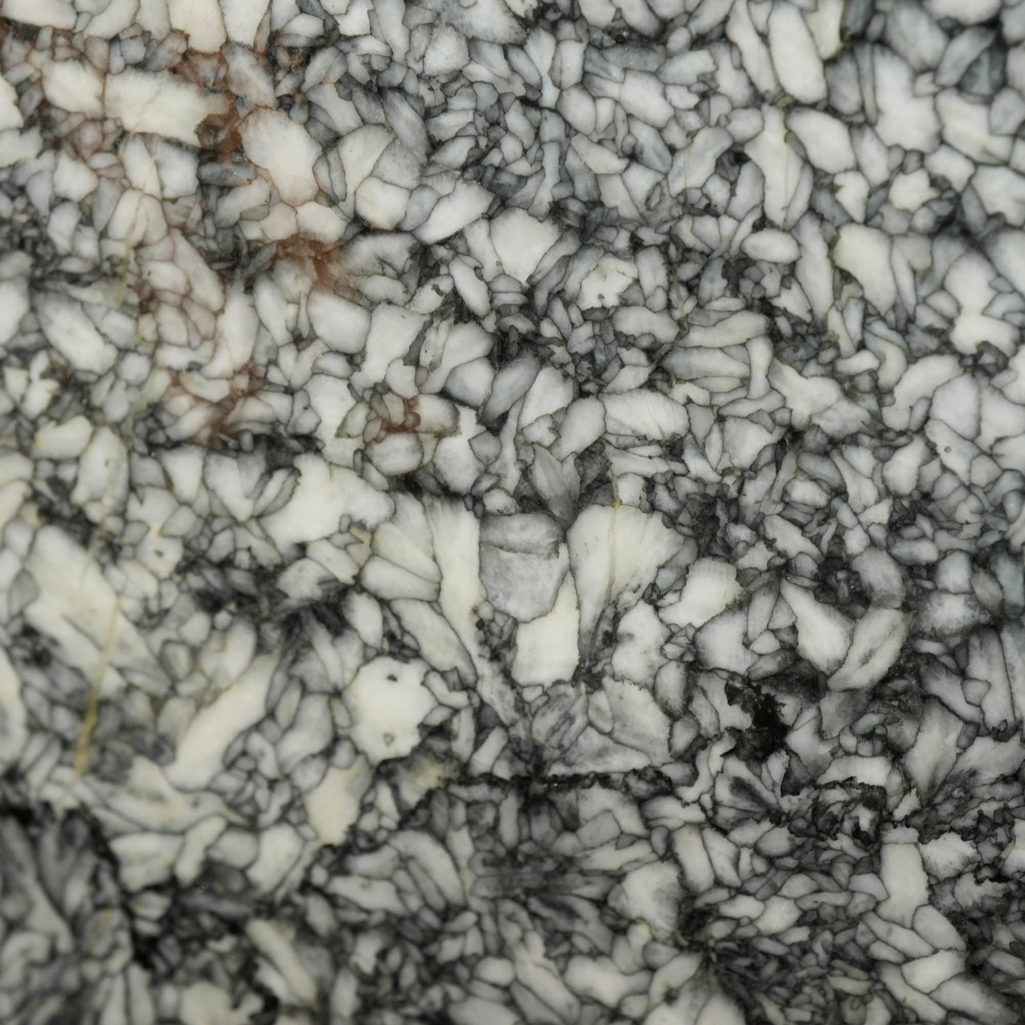 Pinolith Slab Black White Chatoyant Austrian Rare Metamorphic Stone #3989-Photo2