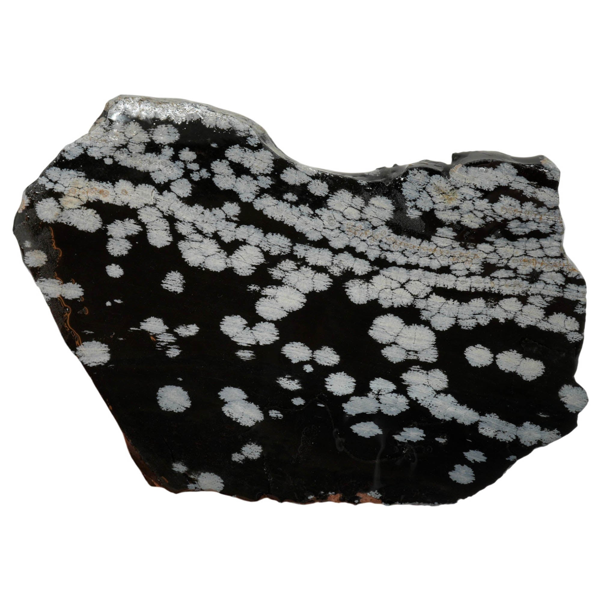 Snowflake Obsidian Slab – Wavy Lines Scattered Snowflakes Utah #3991-Photo1
