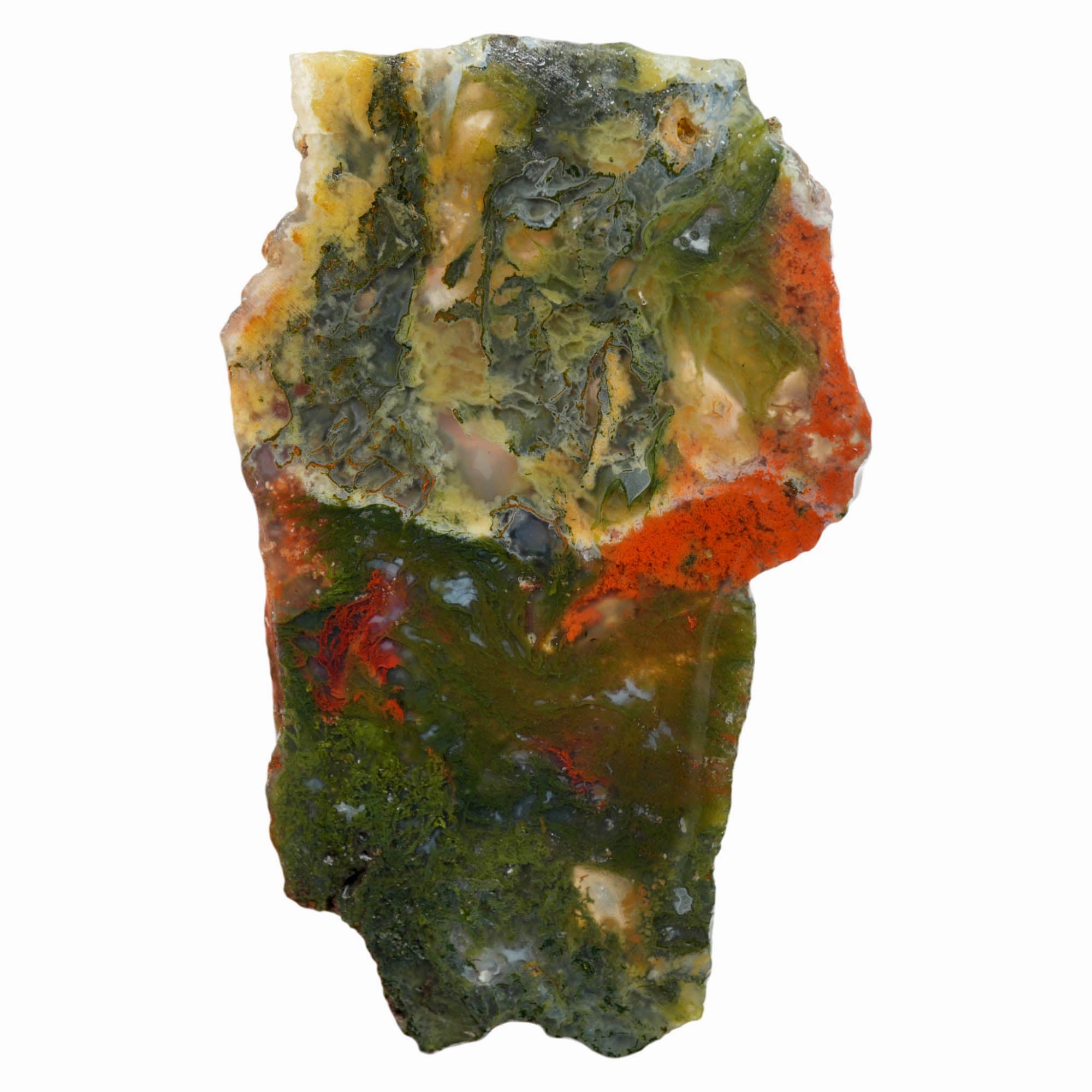 Maury Mountain Moss Agate Slab - Green and Red Moss Pattern