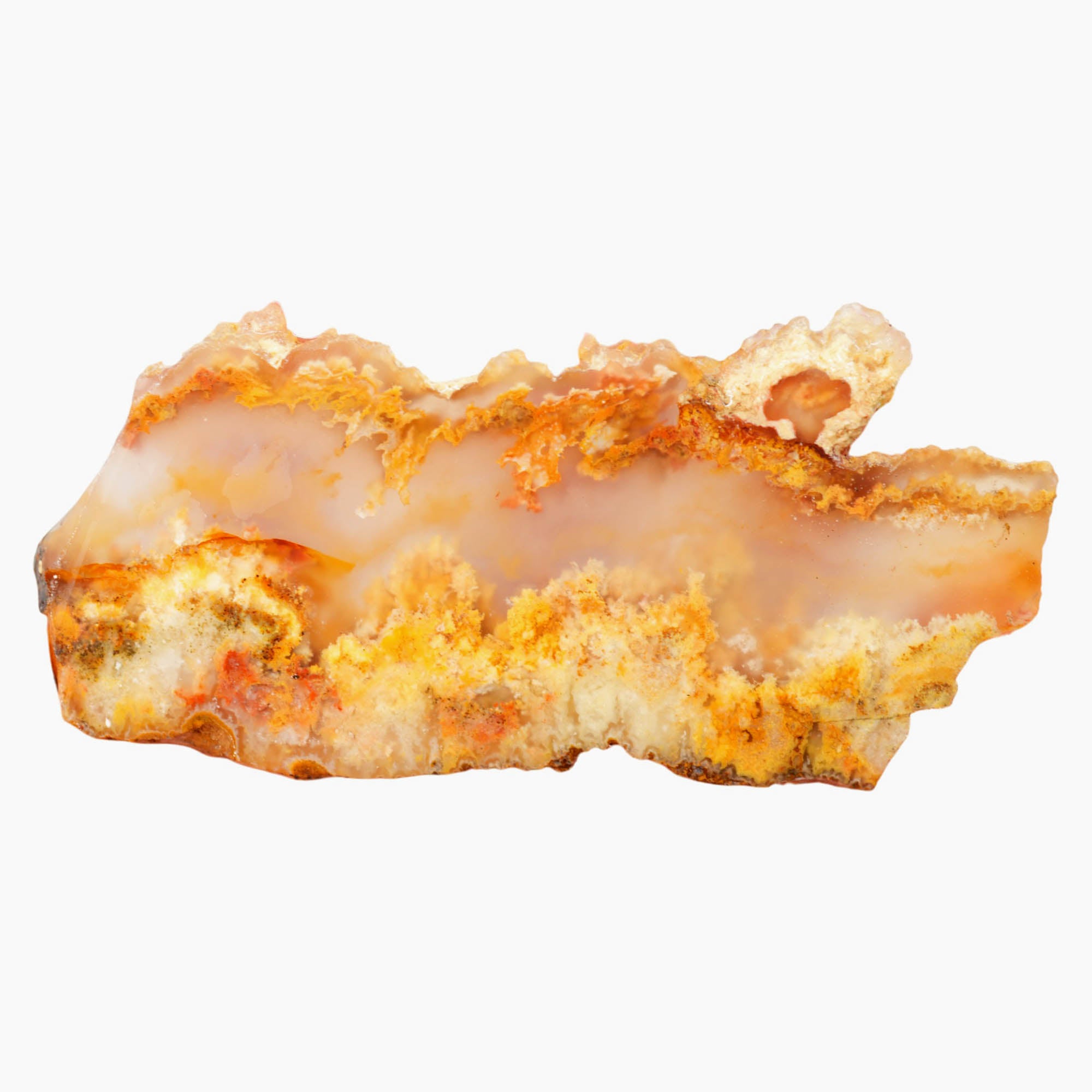 Regency Rose Plume Agate Slab - Cloudy Plumes with Stunning Red
