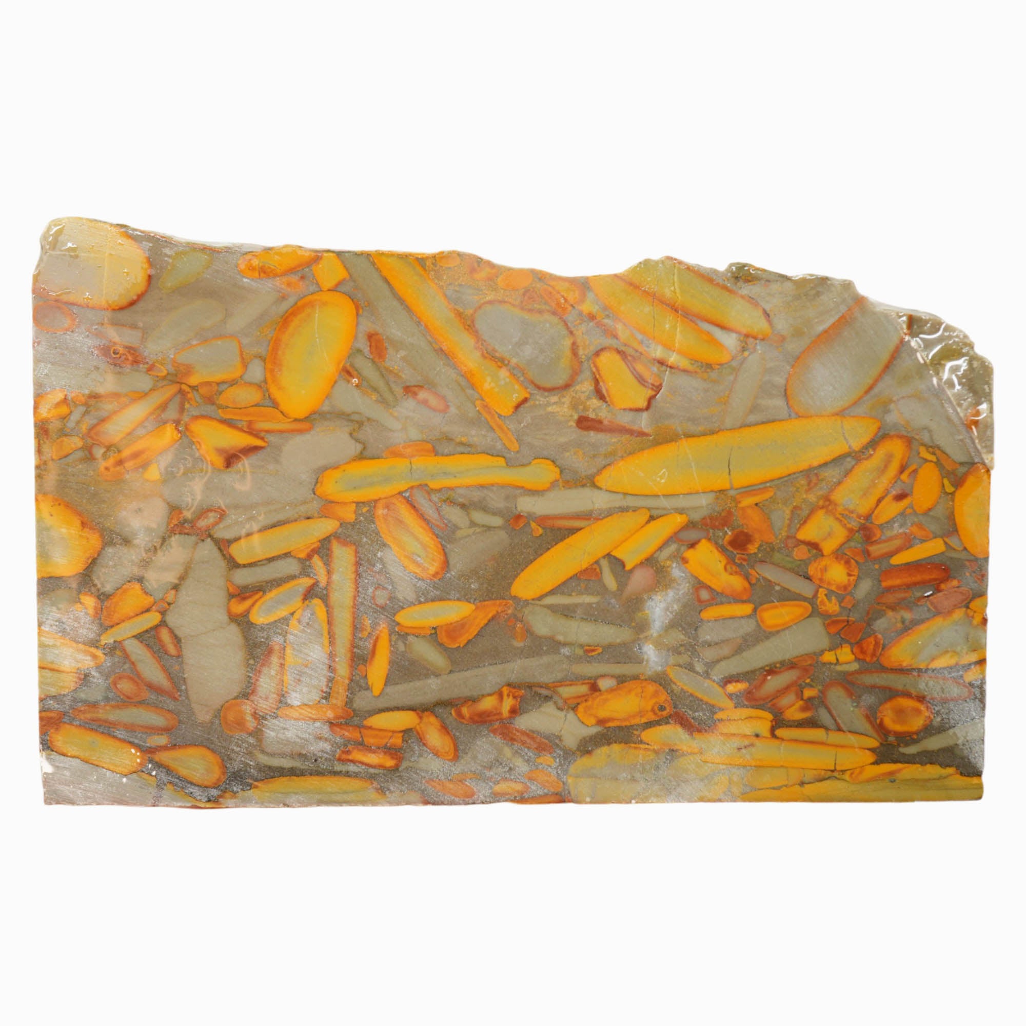 Bamboo Jasper Slab - Long Conglomerate Flows