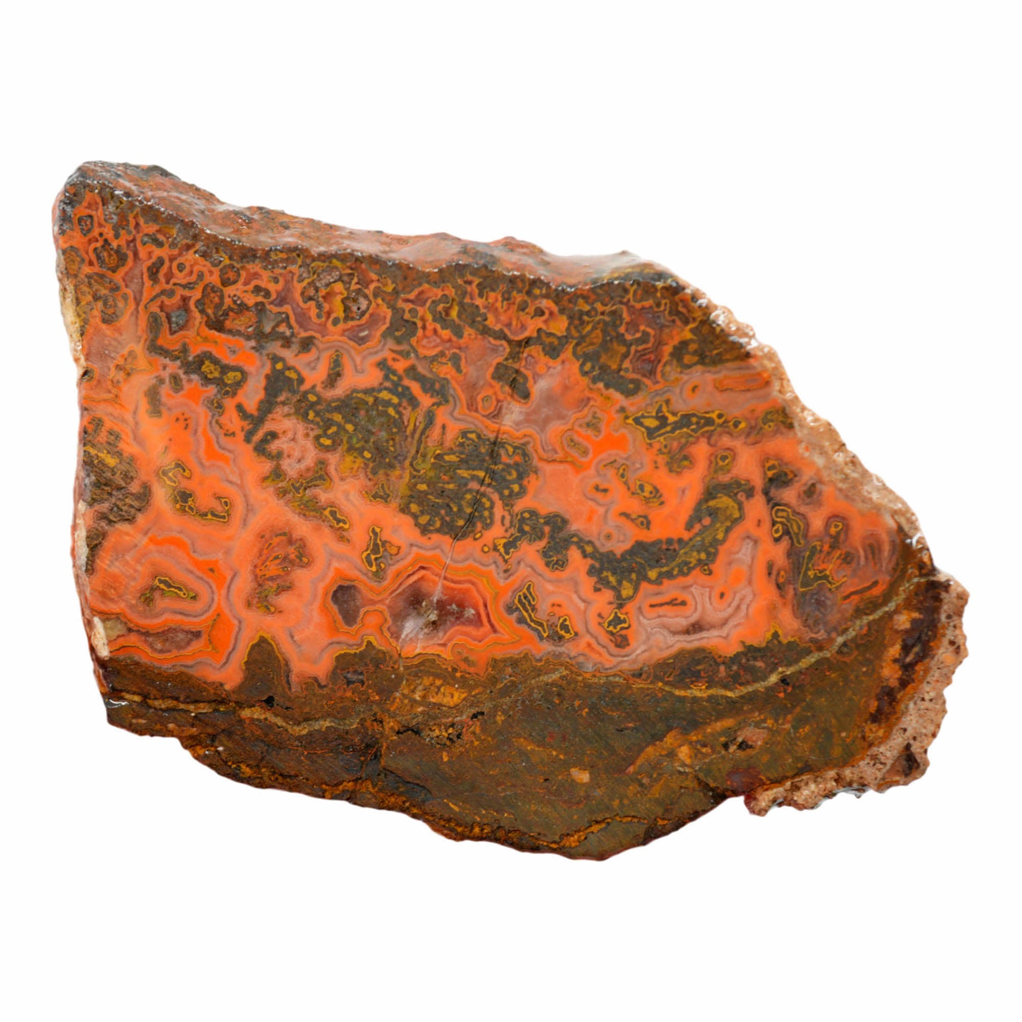 Yellow Jacket Jasper Slab - Red Lace with Hematite Flowers