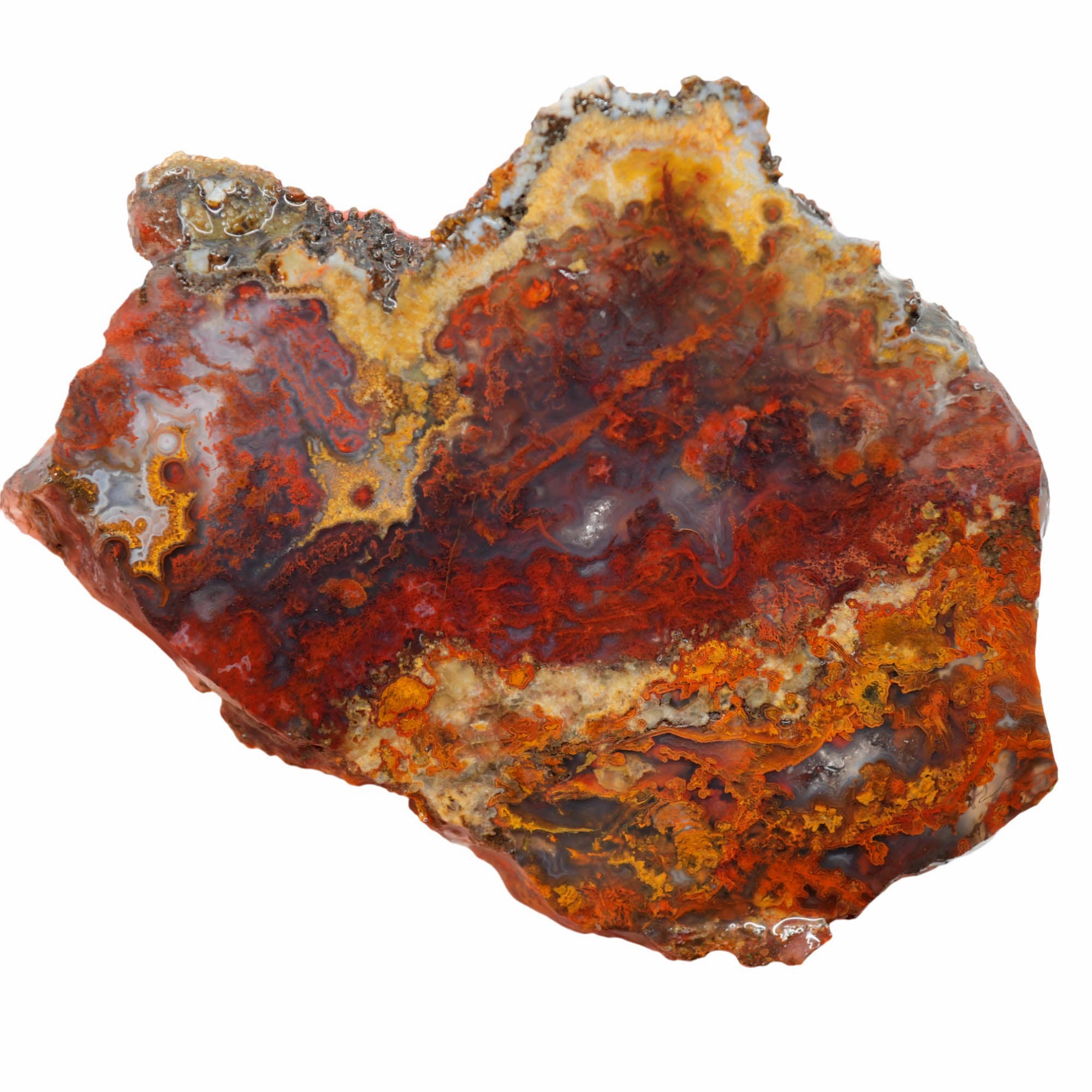 San Carlos Agate Slab - Red Moss with Blue Agate