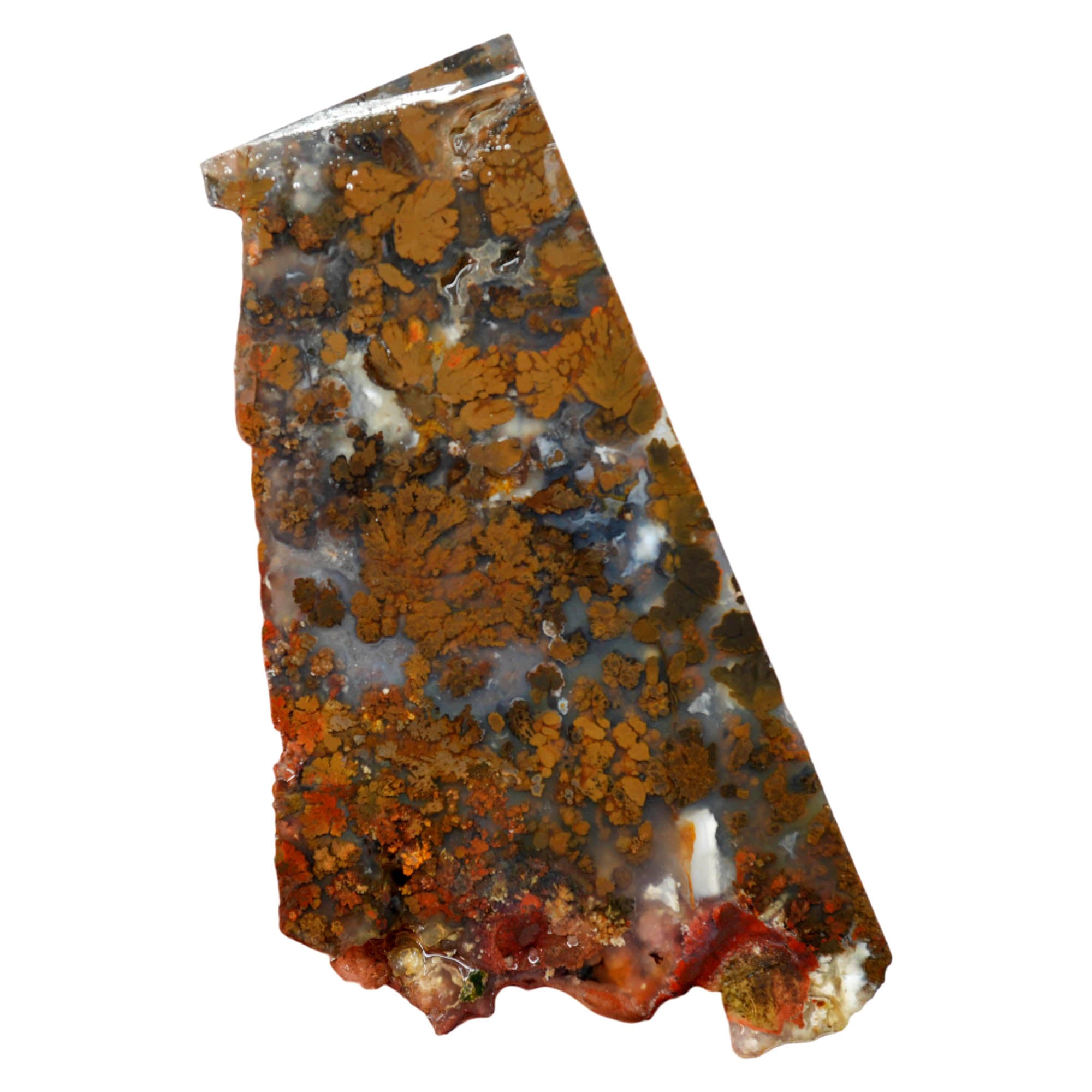 Powell Butte Plume Agate Slab - Black and White Plume in Blue
