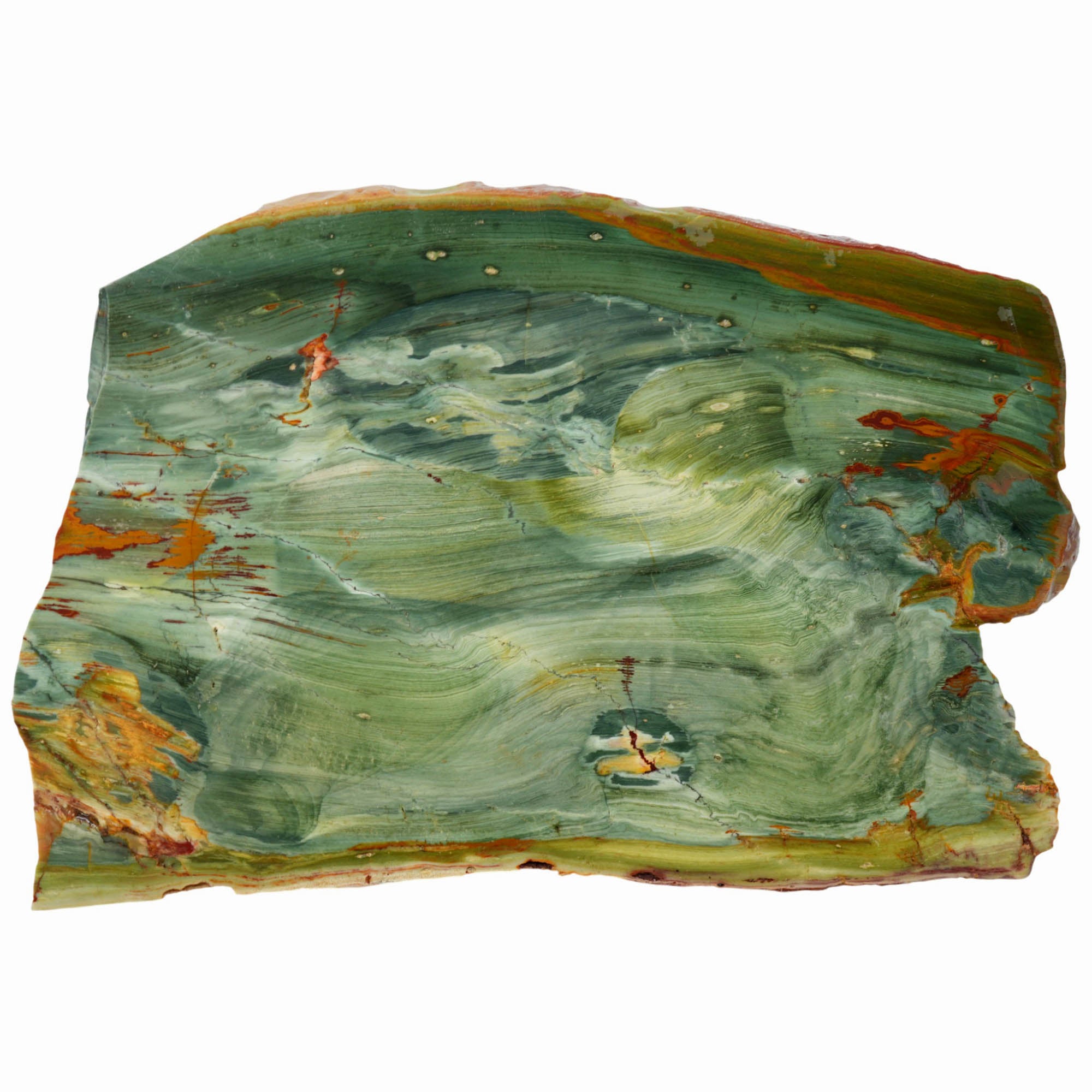 Gary Green Jasper Slab - Rare Elipsio Orbs with Red Dendrites