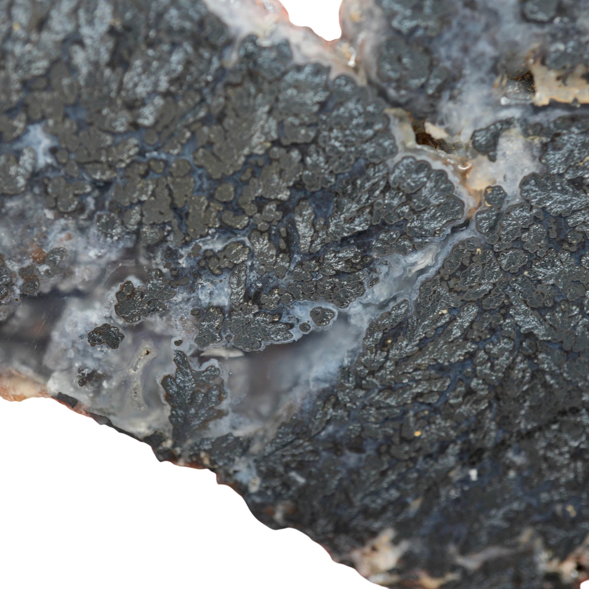 Psilomelane Marcasite Slab - Metallic Plume with High Contrast Banding