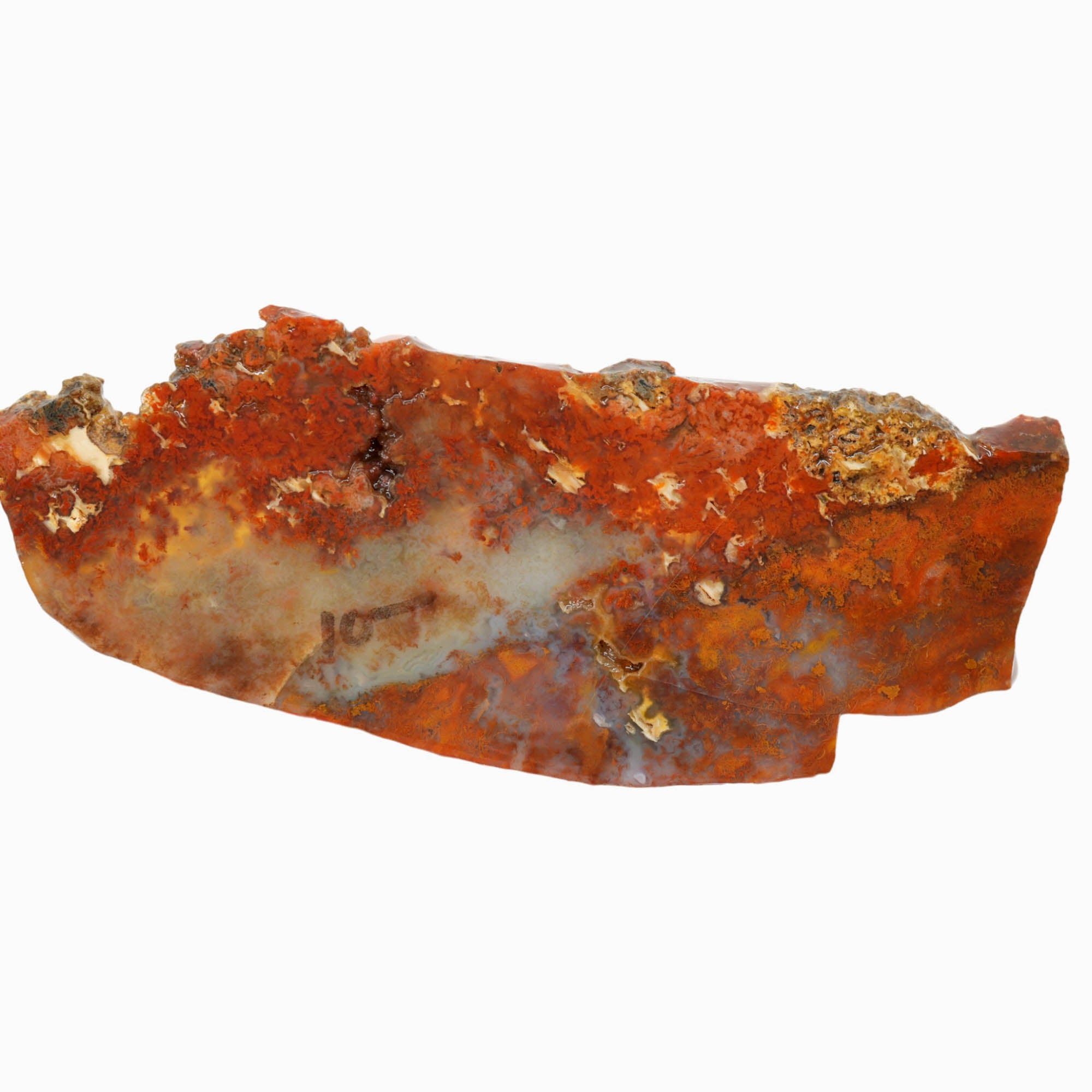 Powell Butte Plume Agate Slab - Neat Plume Old Stock Vintage Tag