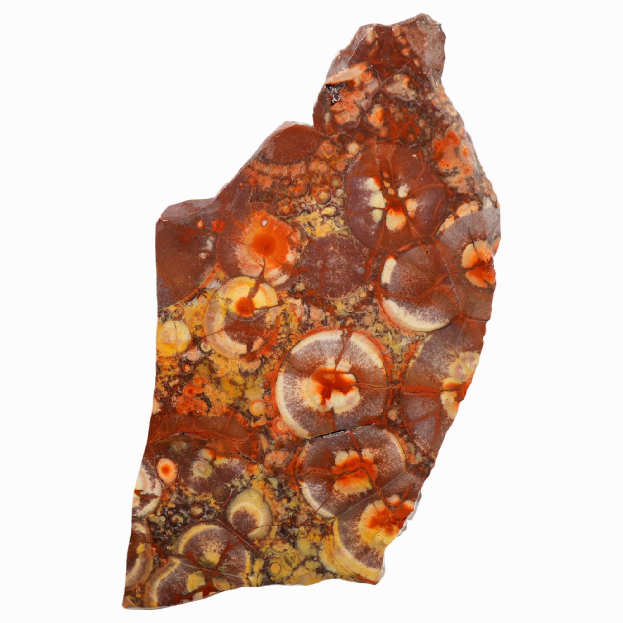 Birdseye Rhyolite Slab - Birdseye Pattern with Stunning Purple Old Stock