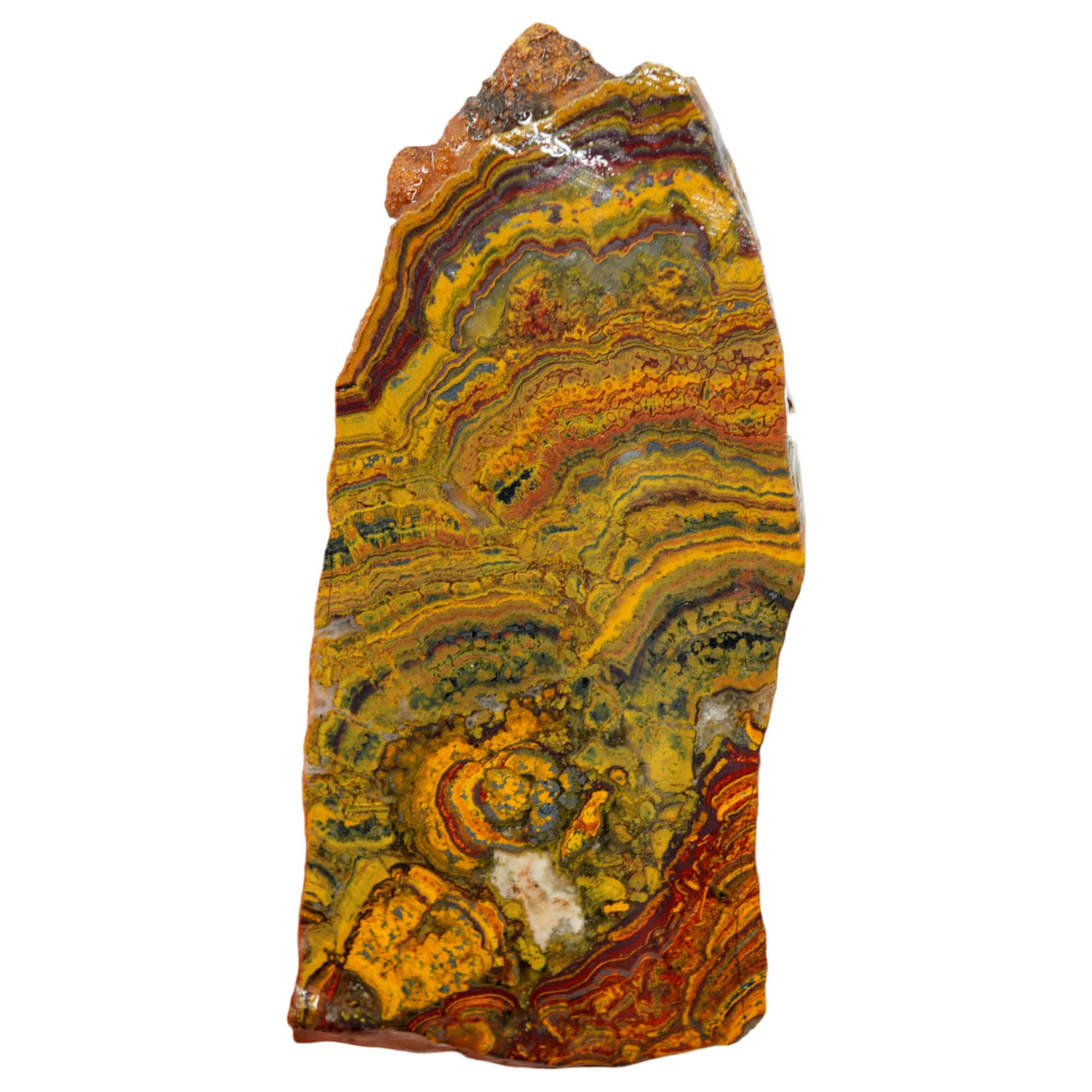 Apple Valley Jasper Slab - Red Waves with Hematite Flowers Stromatolite