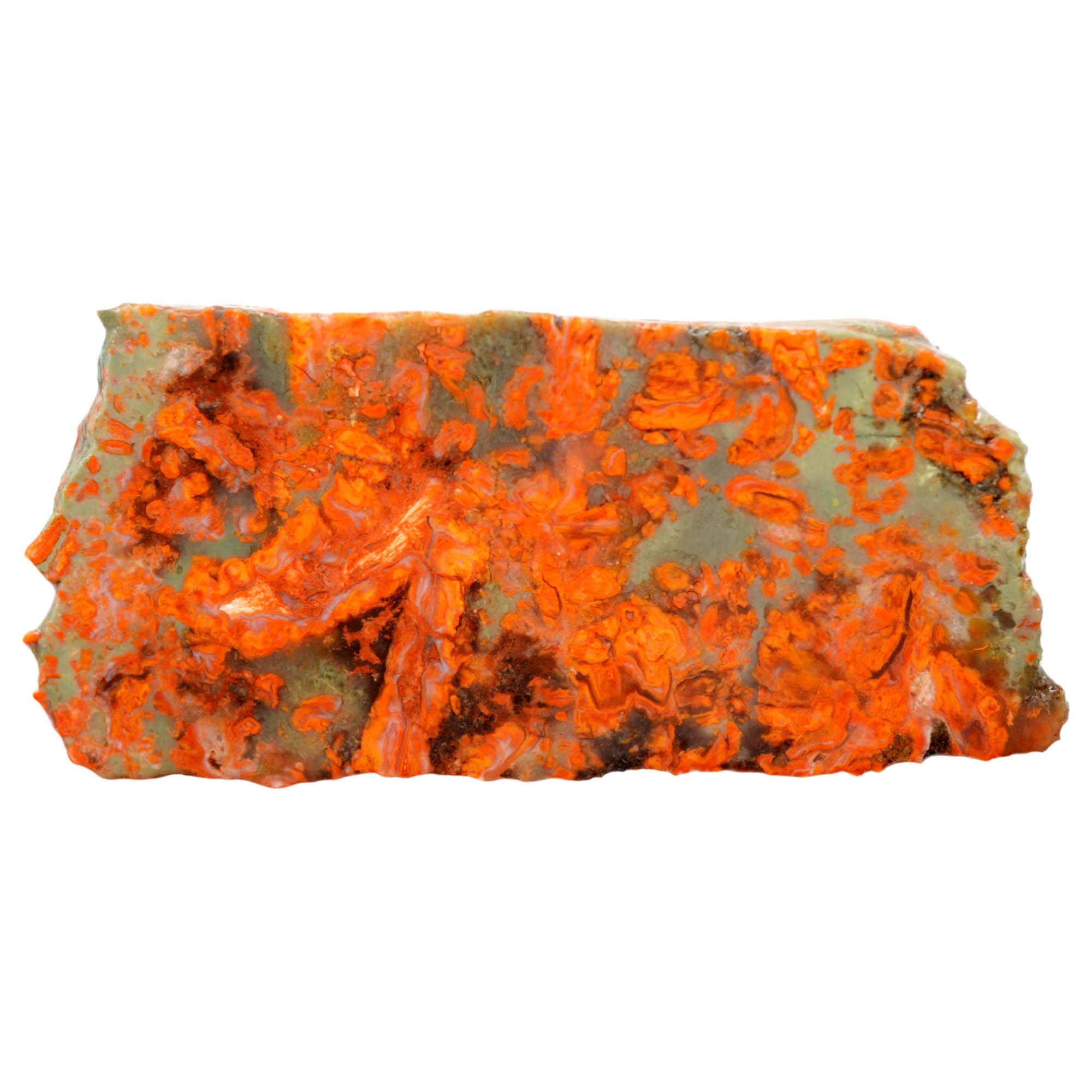 Rosebud Jasper Slab - Bright Red on Green with Rose Formations