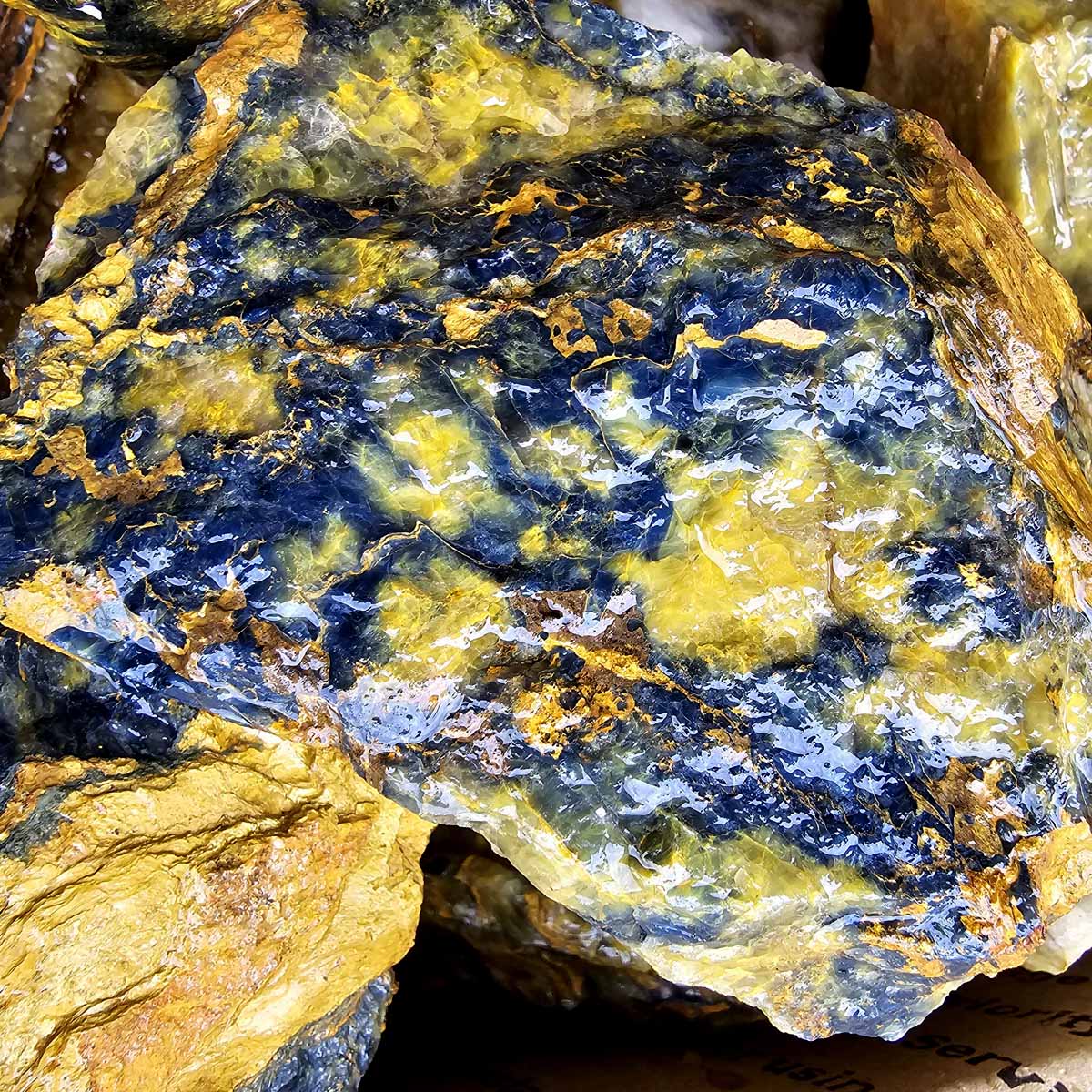 African Nellite Rough Pietersite Relative Cutting Rough Flatrate!