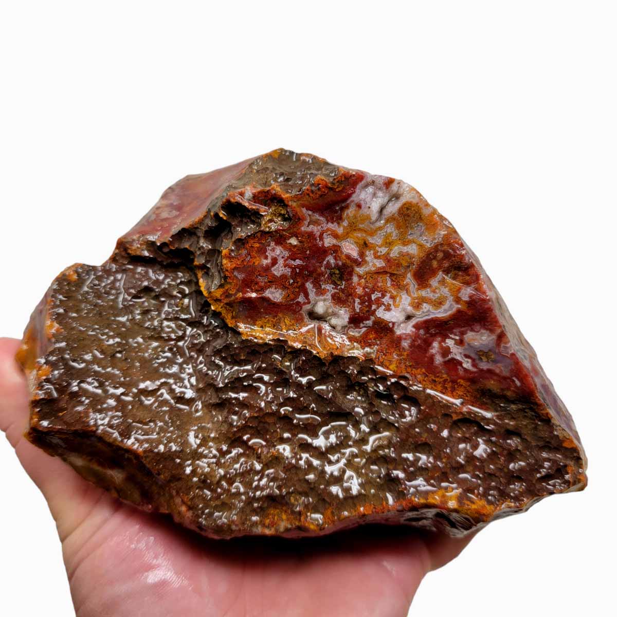 Agua Nueva Agate New Water Agate Rough Chunk!